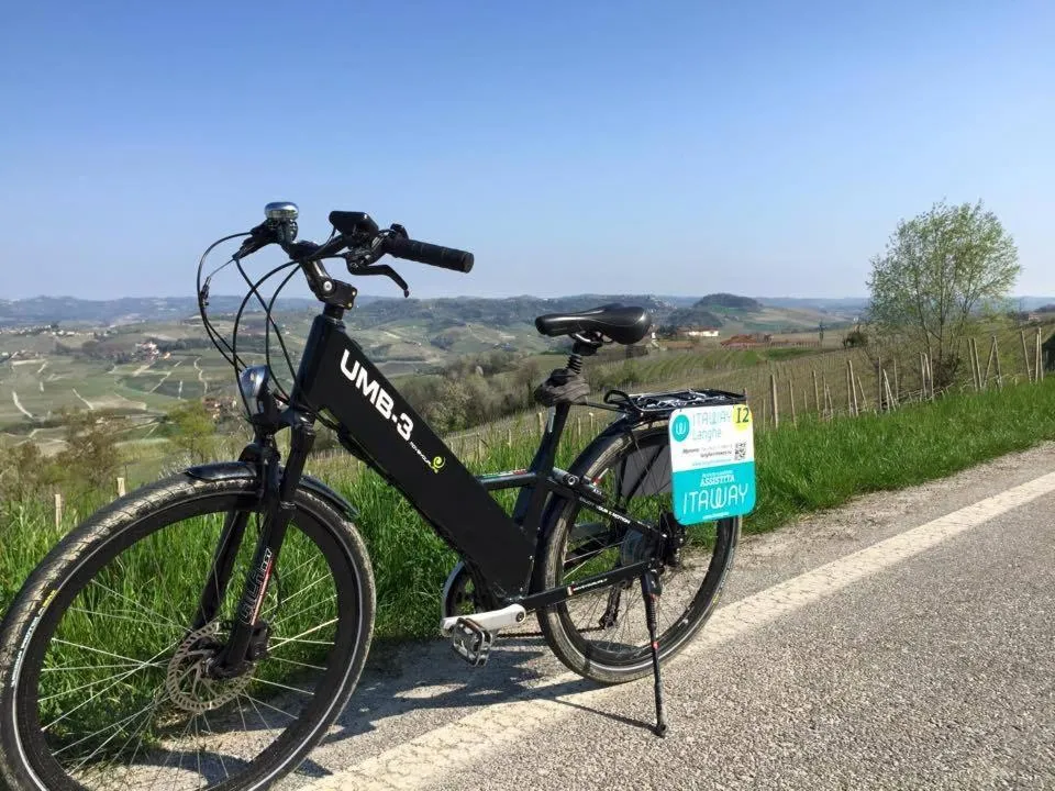 Banquet/Function facilities in The Green Guest House