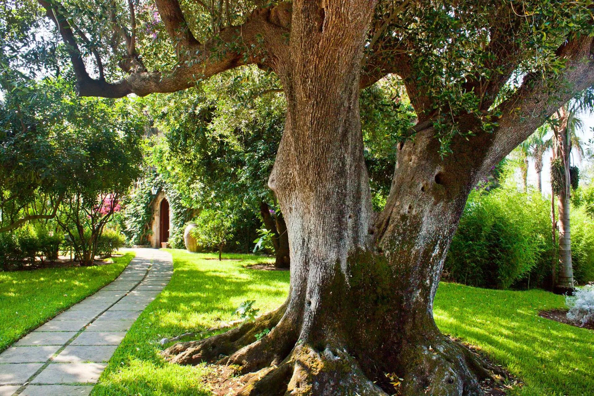 Day in Happy Village