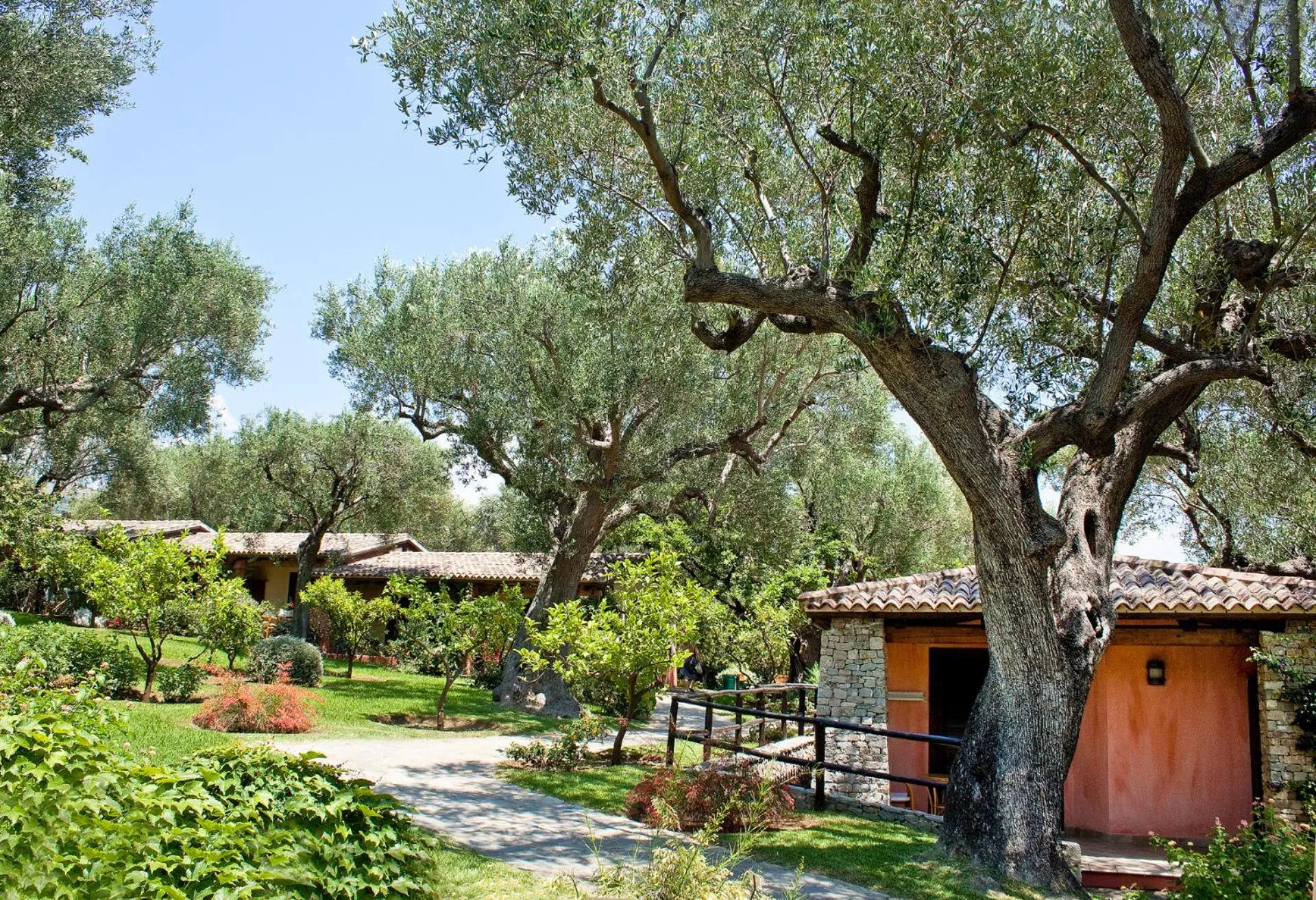 Day in Happy Village