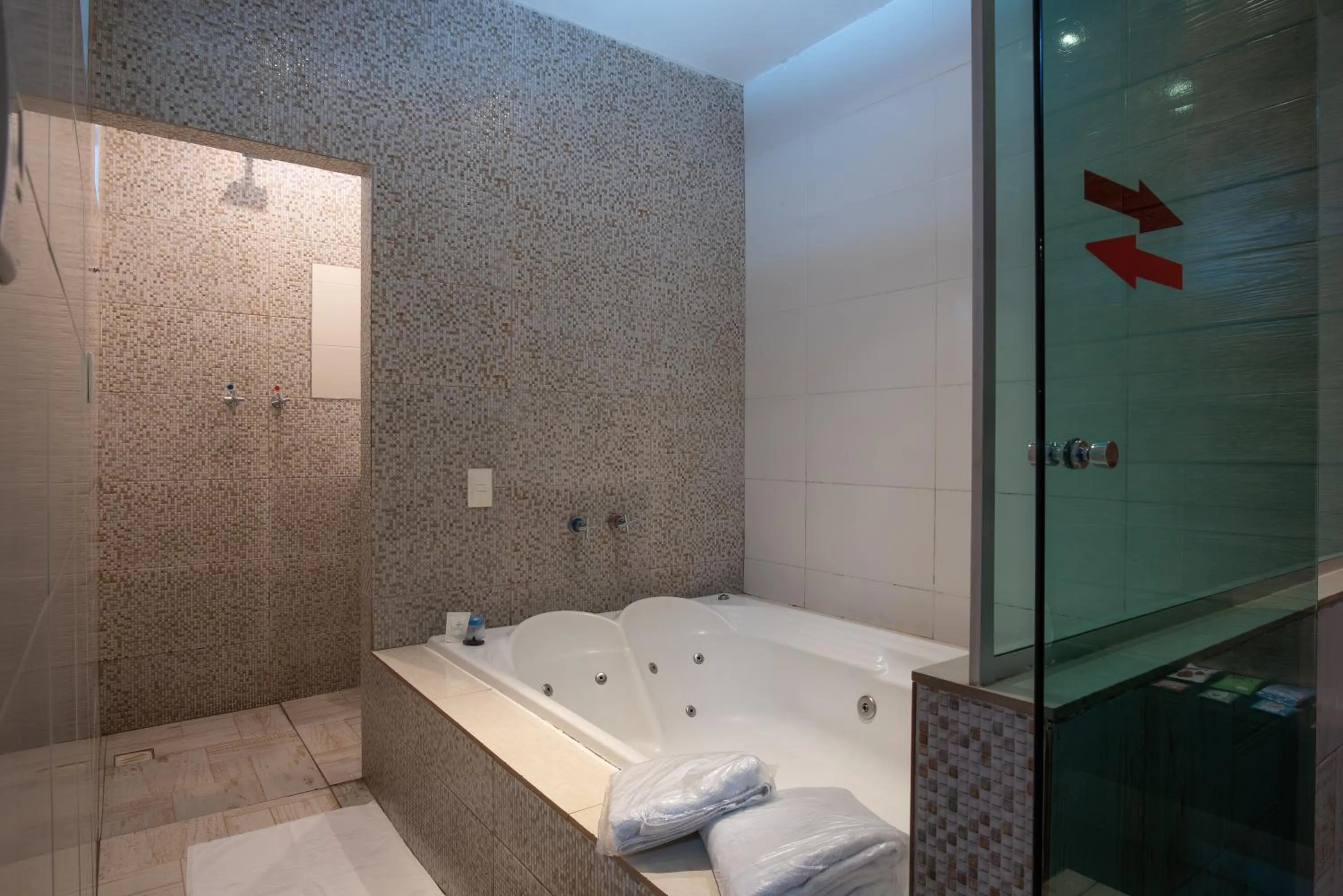 Shower in Motel Fantasy 1