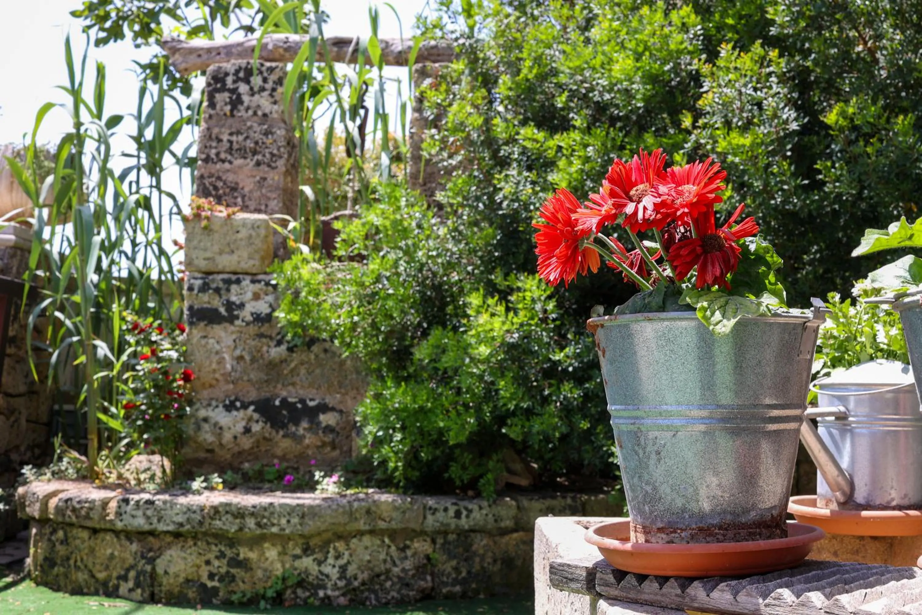 Garden in Antico Borgo Marchese