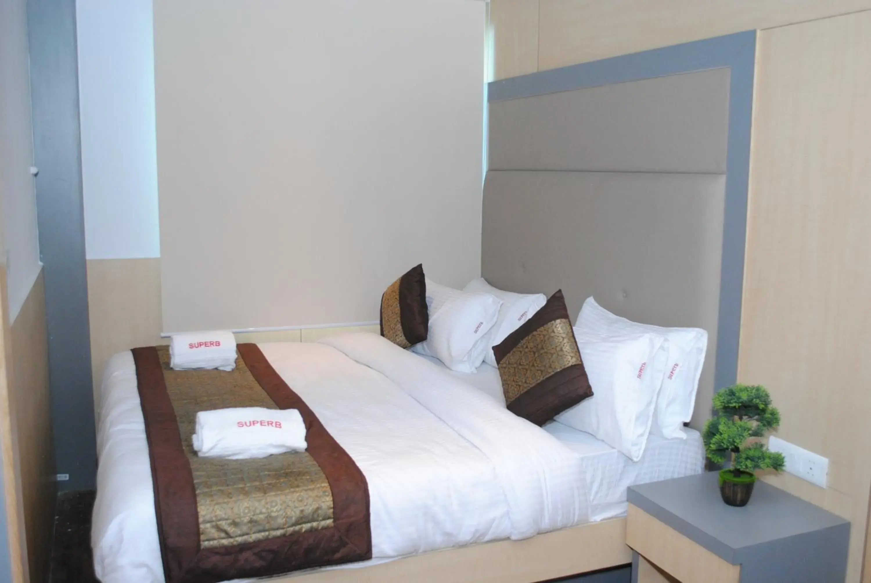 Deluxe Double or Twin Room in Hotel Superb 5 Mins Walk From New Delhi Station Deluxe Double or Twin Room in Hotel Superb 5 Mins Walk From New Delhi Station