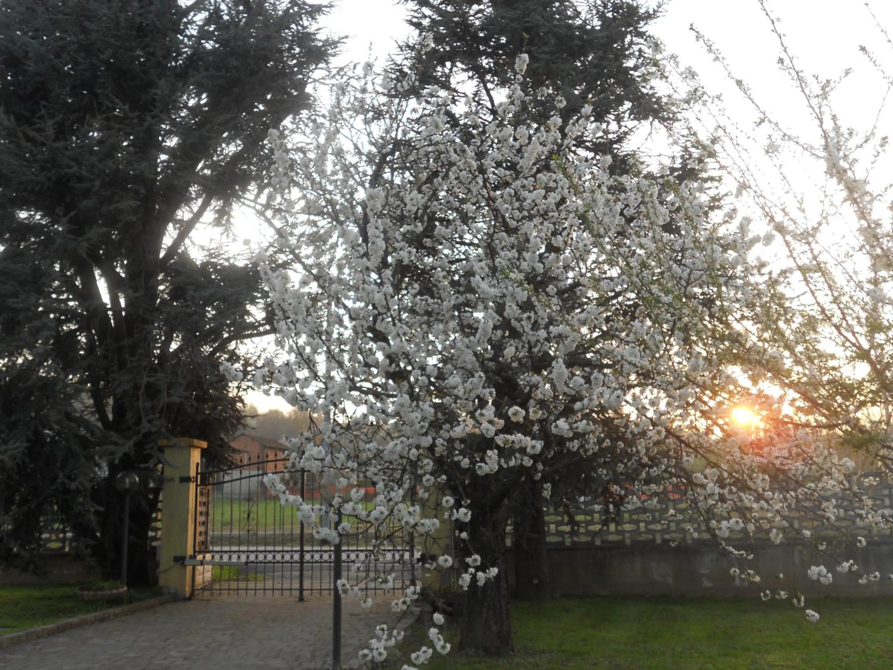 Facade/entrance in B&B Pervinca