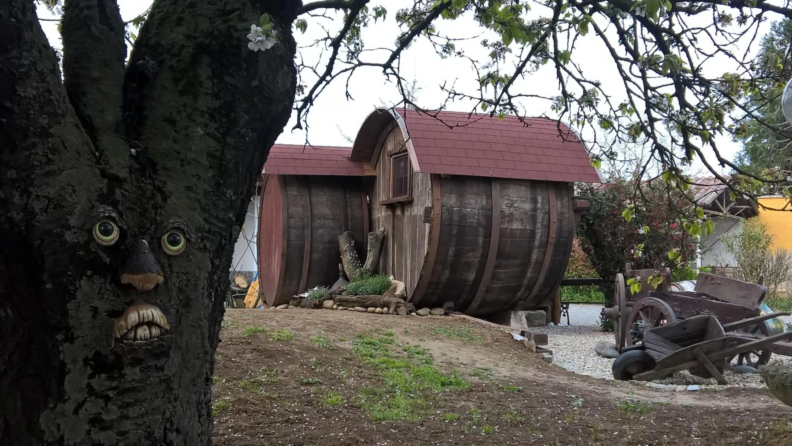 Garden view in B&B Pervinca
