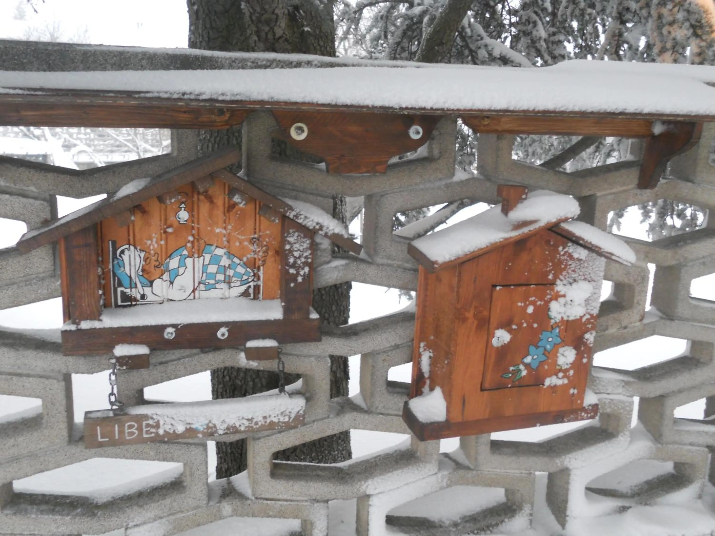 Winter in B&B Pervinca