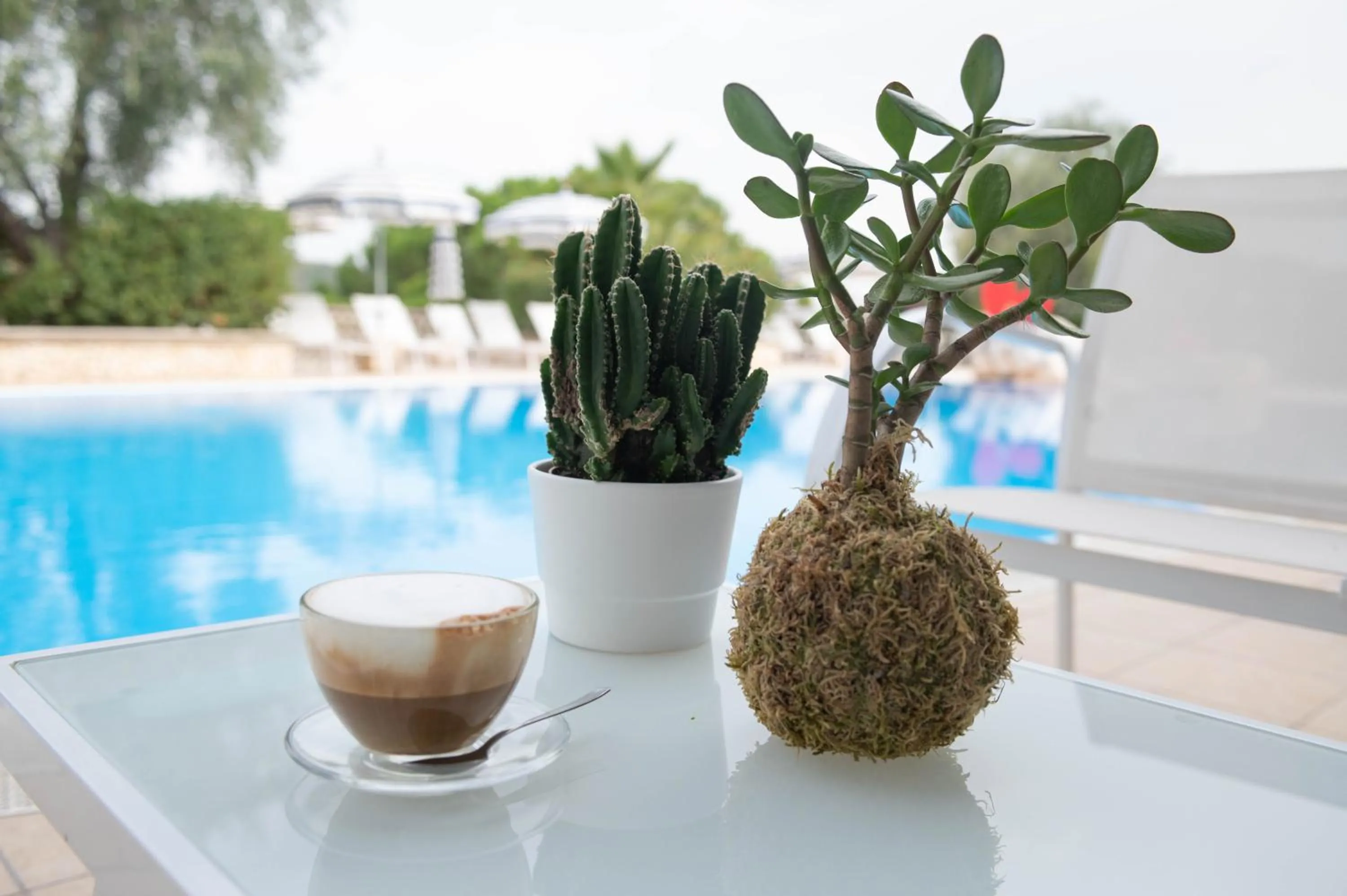 Pool view in Residence Il Falco