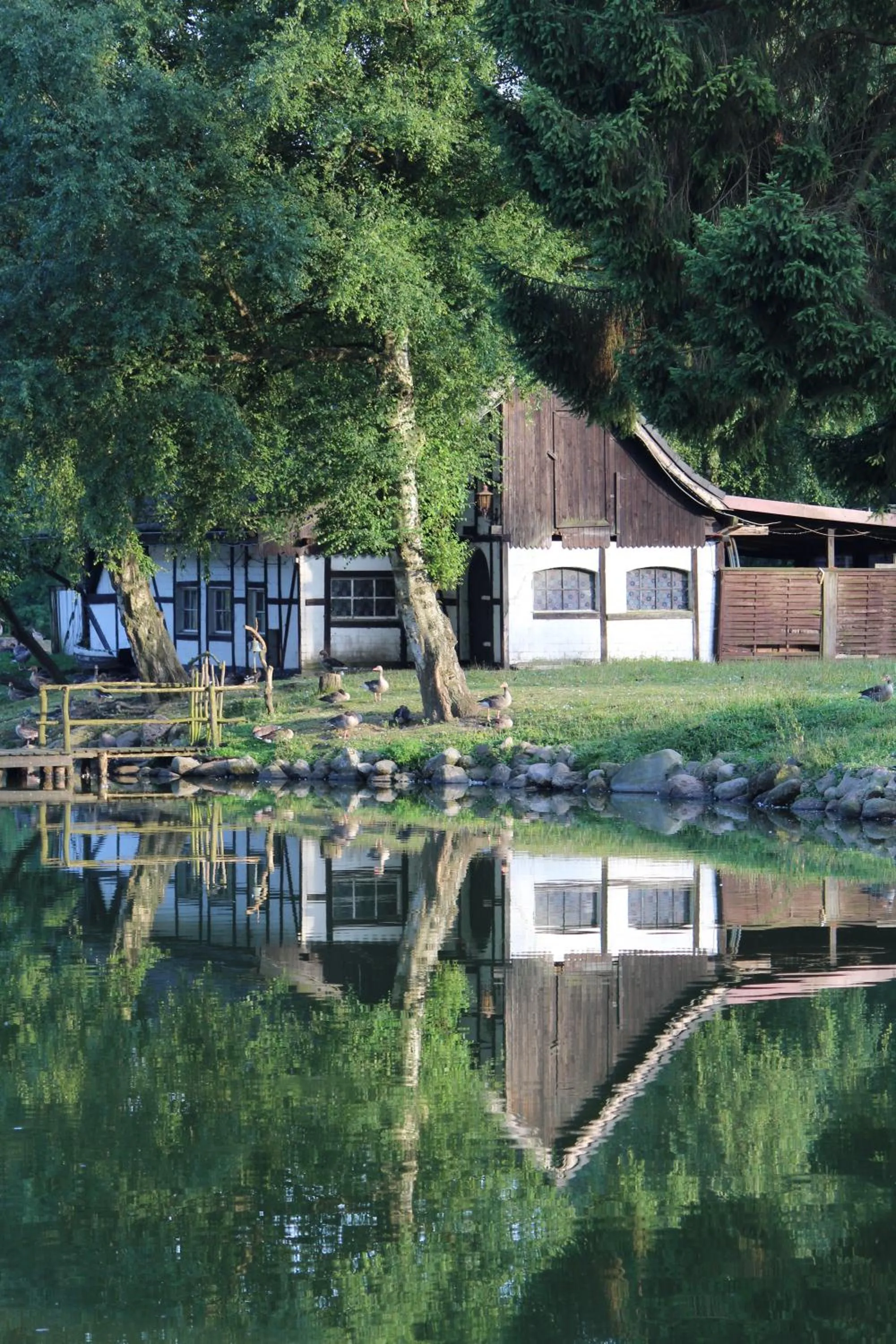 Lake view in Forsthaus Seebergen