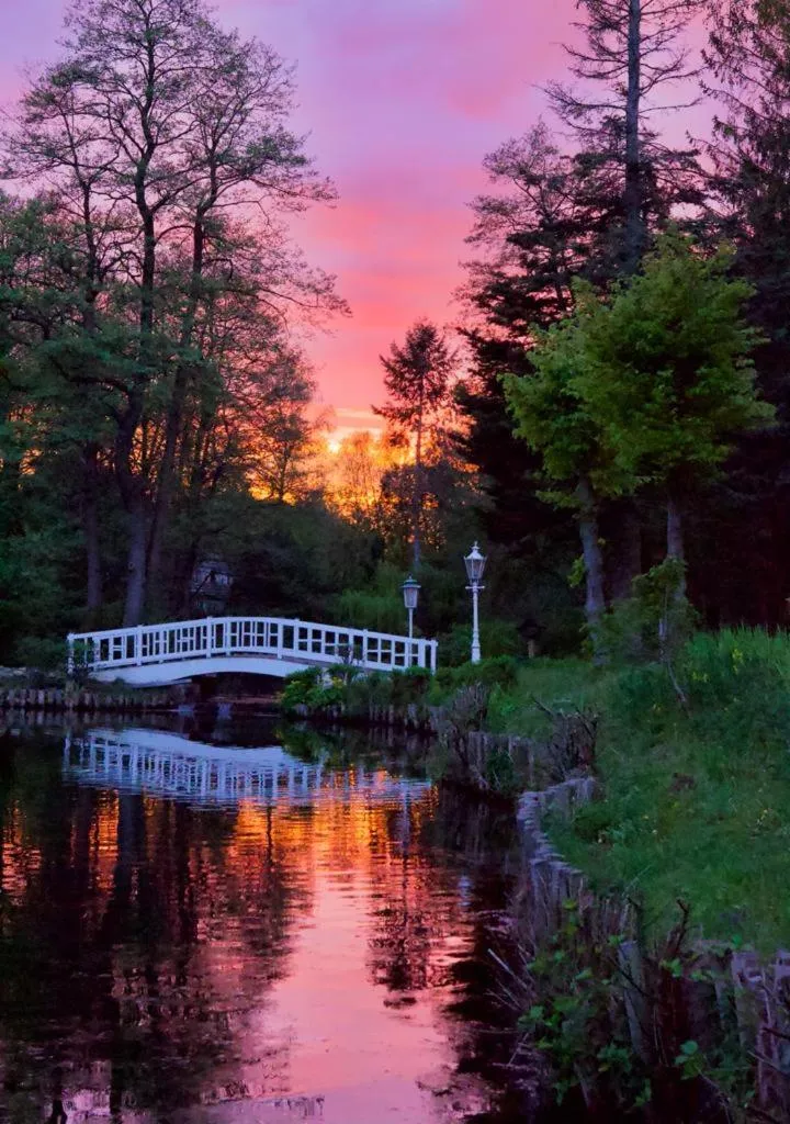 Garden in Forsthaus Seebergen