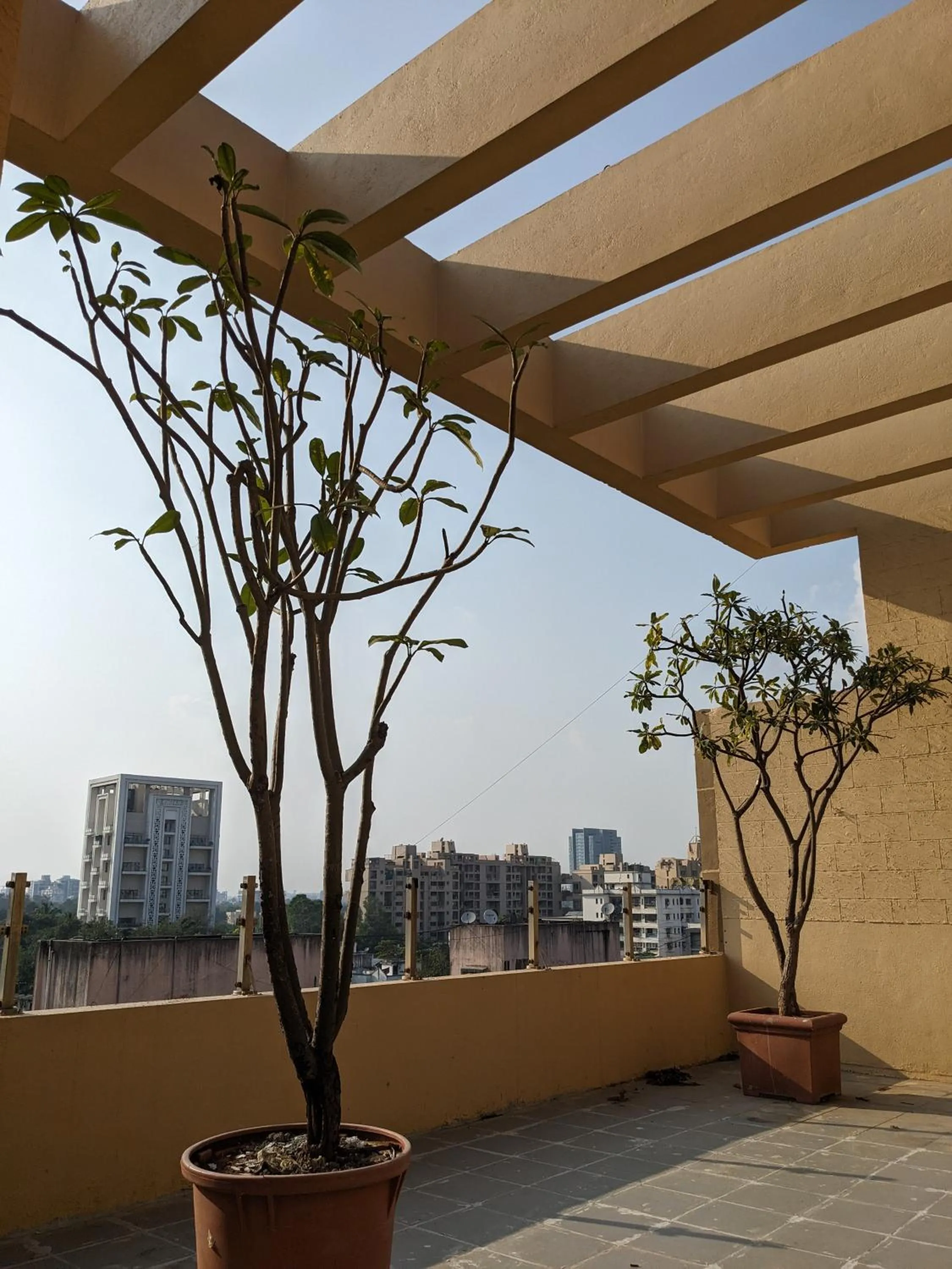 Property building in Magnus Star Residency Koregaon Park Annexe