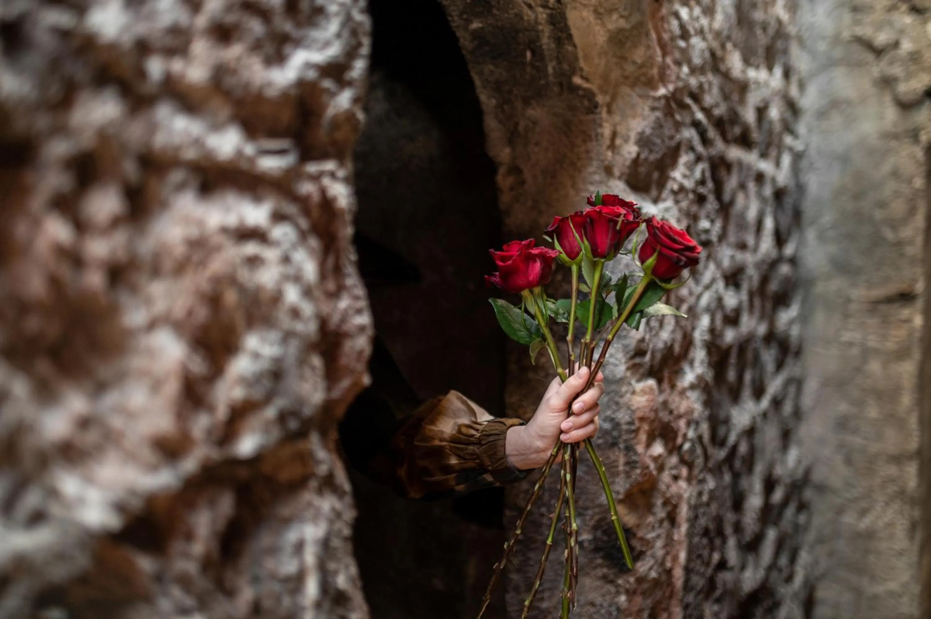 wardrobe in flurin Suites