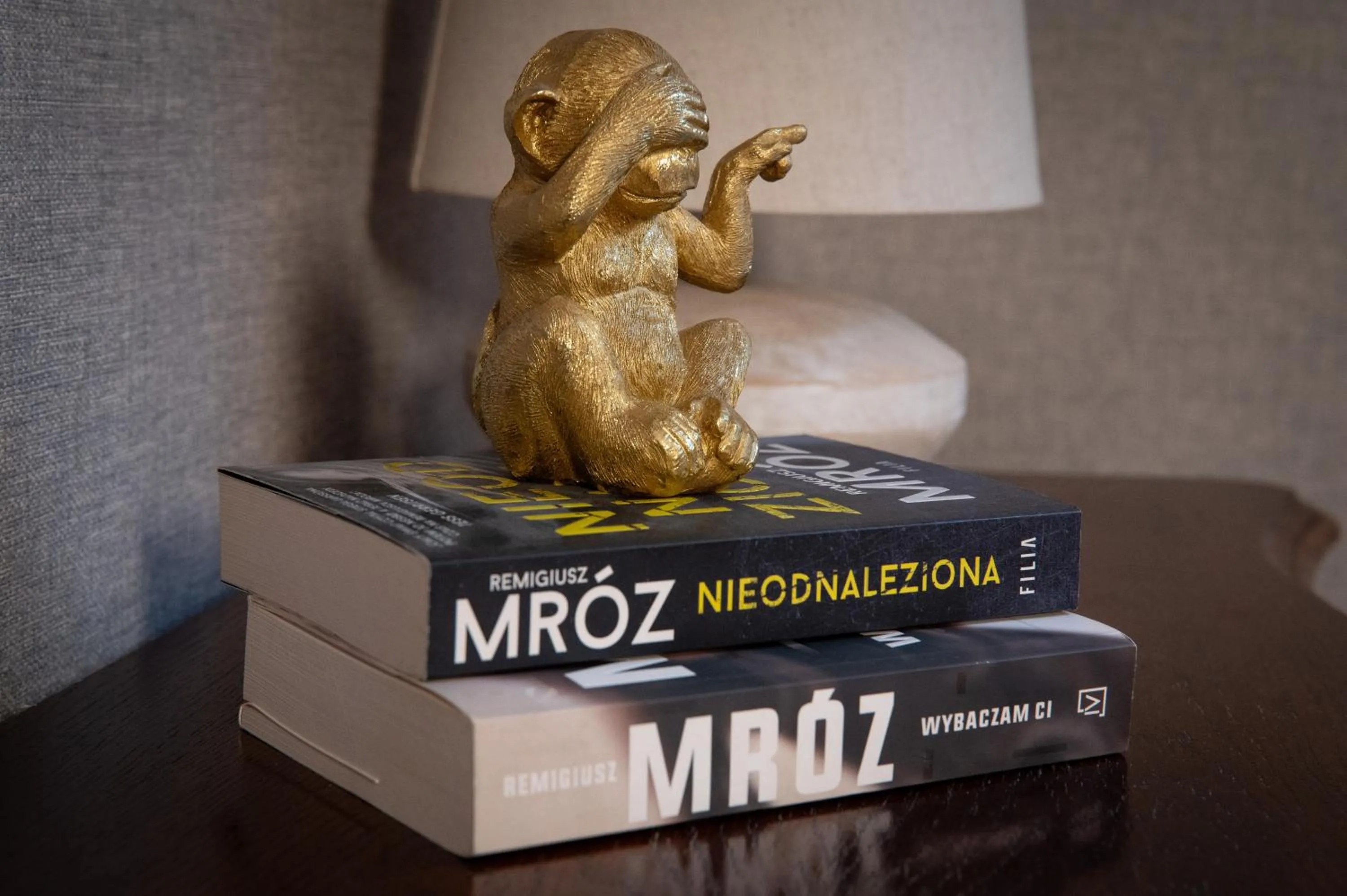 Library in Pensjonat Zakątek