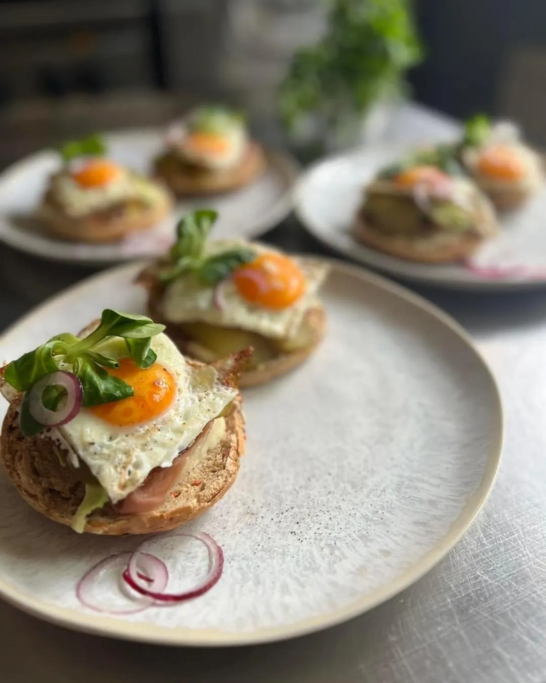 Food and drinks in Pensjonat Zakątek