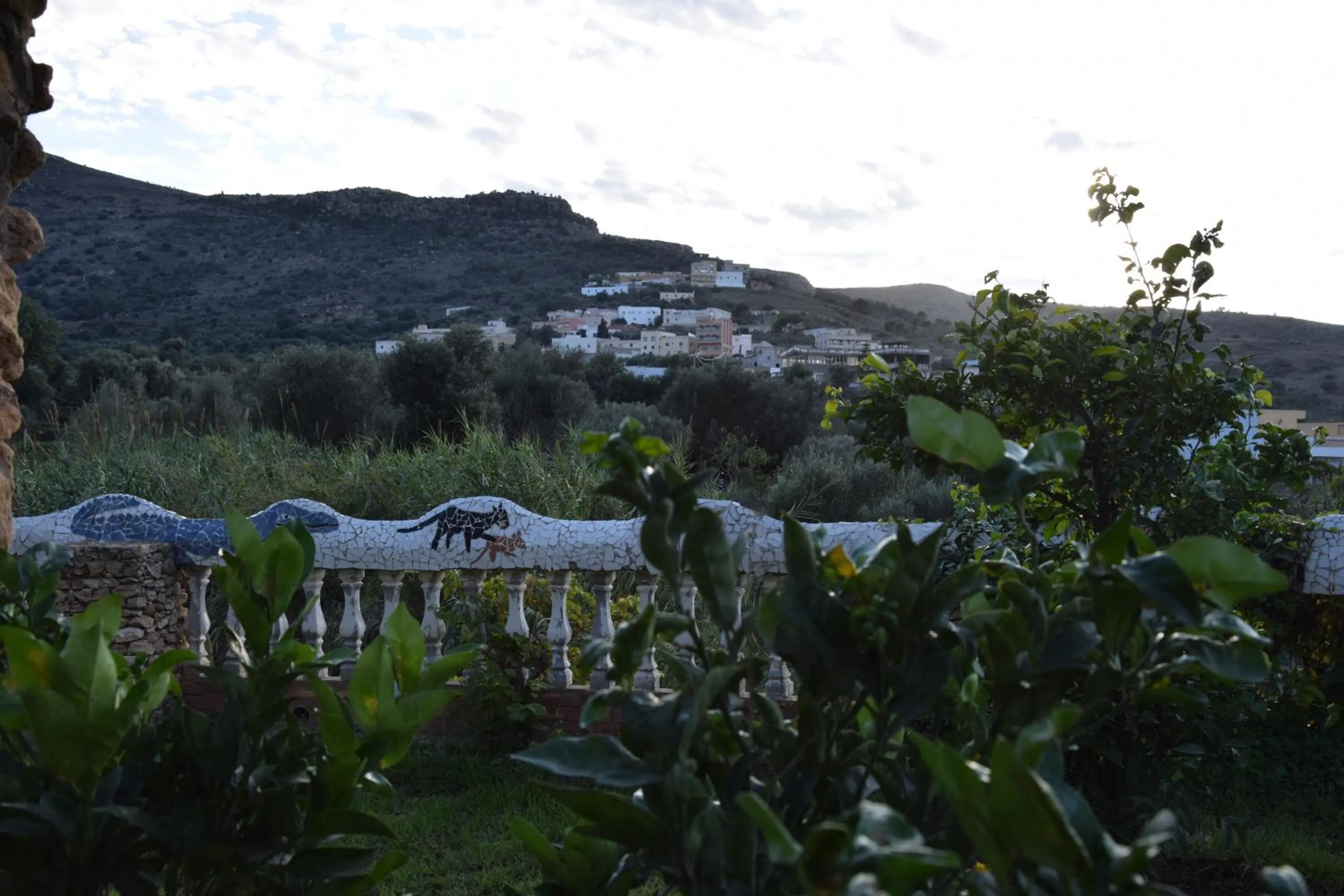 Natural landscape in Hotel Leonor