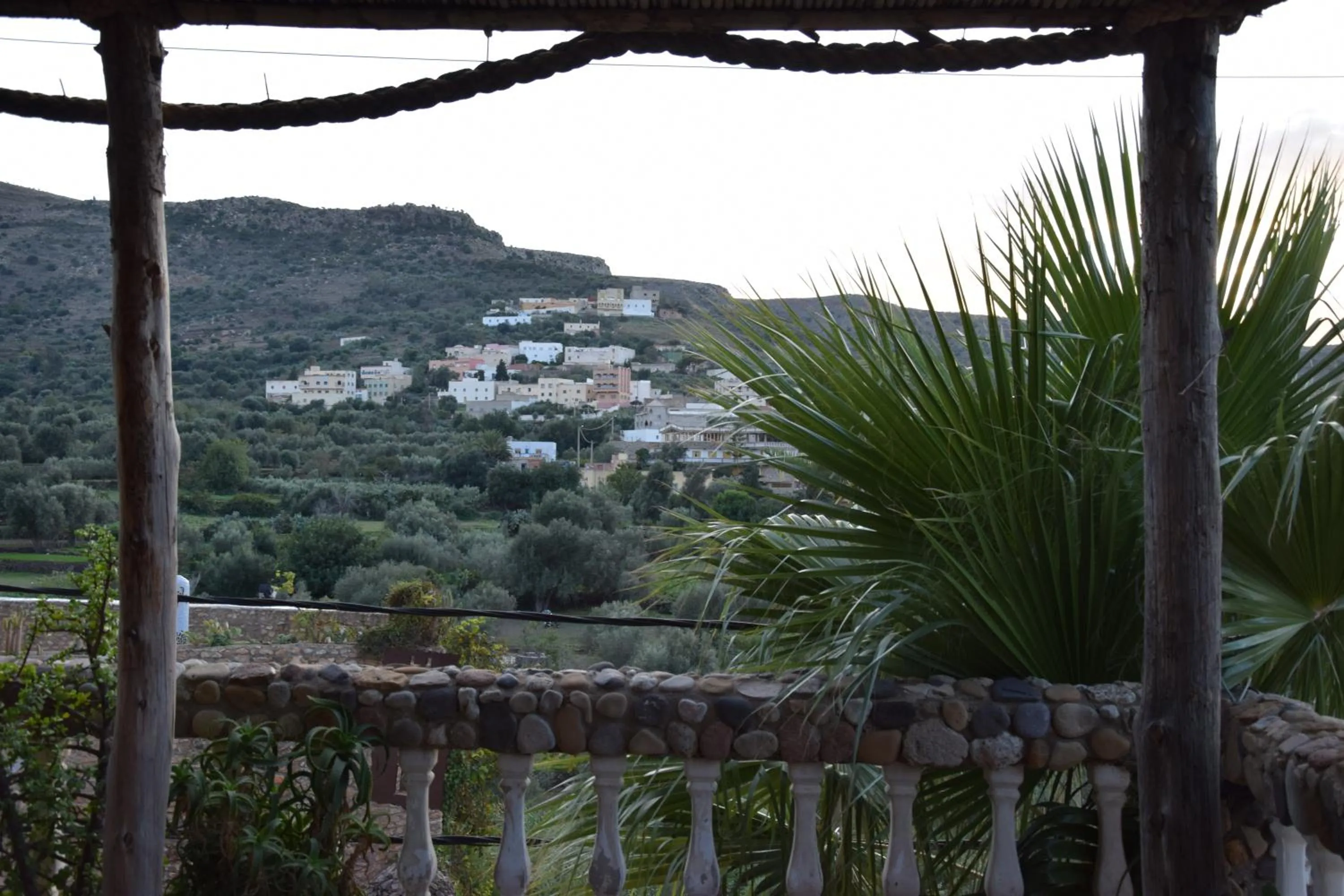 Natural landscape in Hotel Leonor