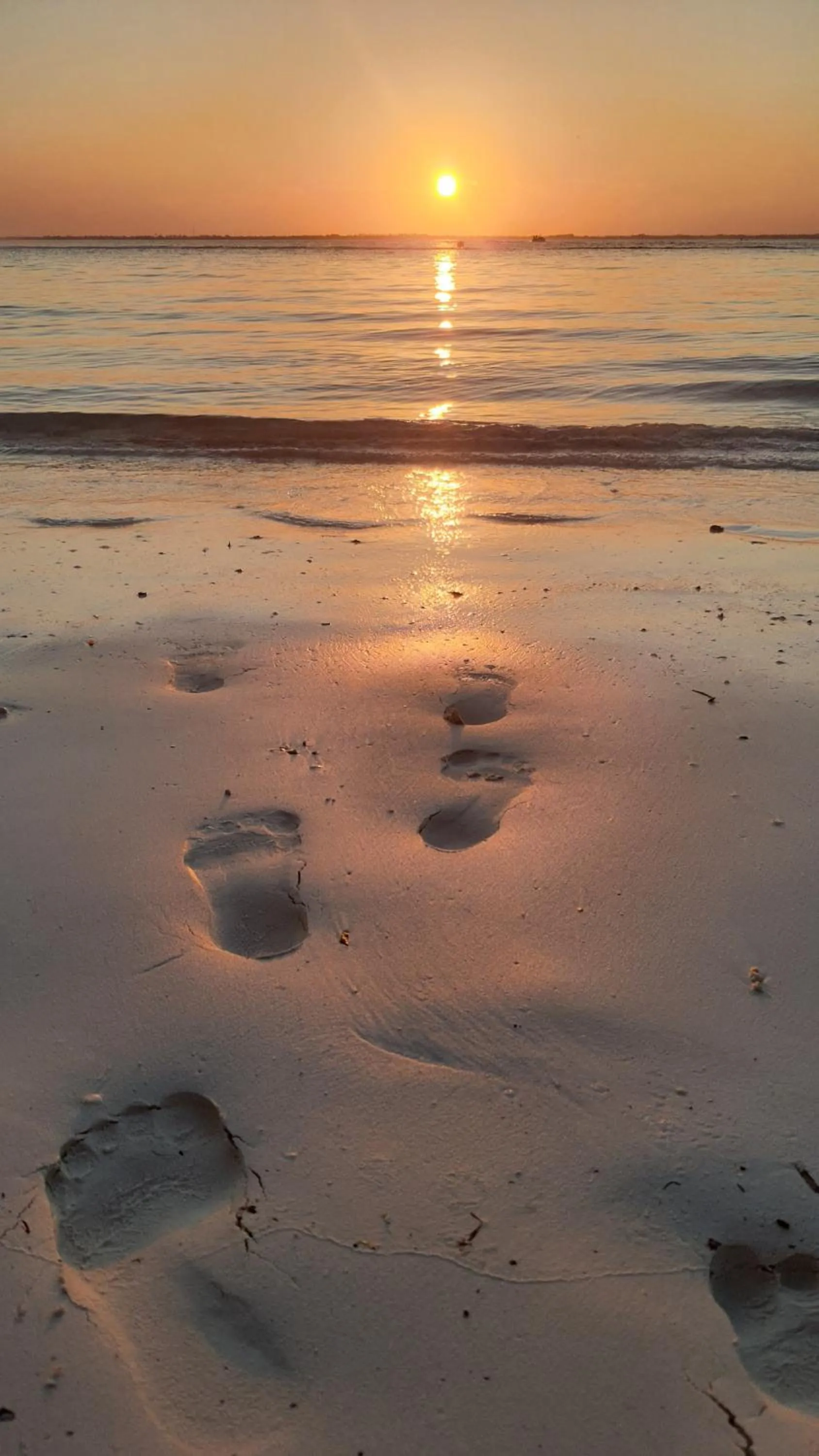 Sunset in Gadea Boutique Hotel& Gadea Garden Italian Restaurant