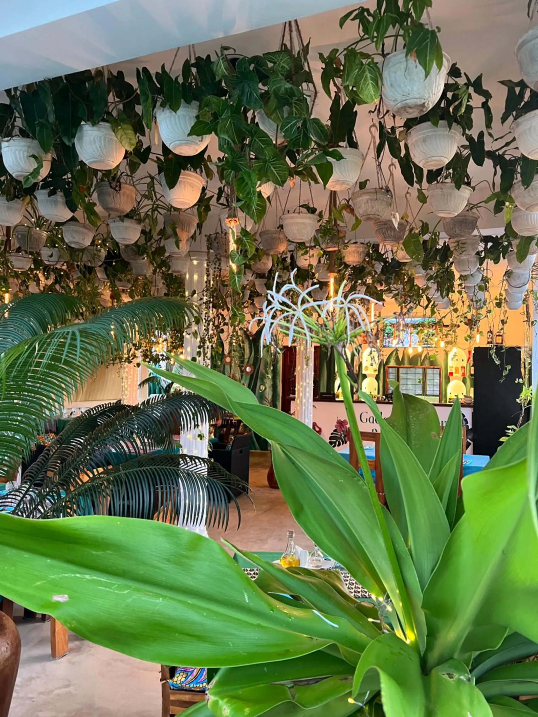 Restaurant/places to eat in Gadea Boutique Hotel& Gadea Garden Italian Restaurant