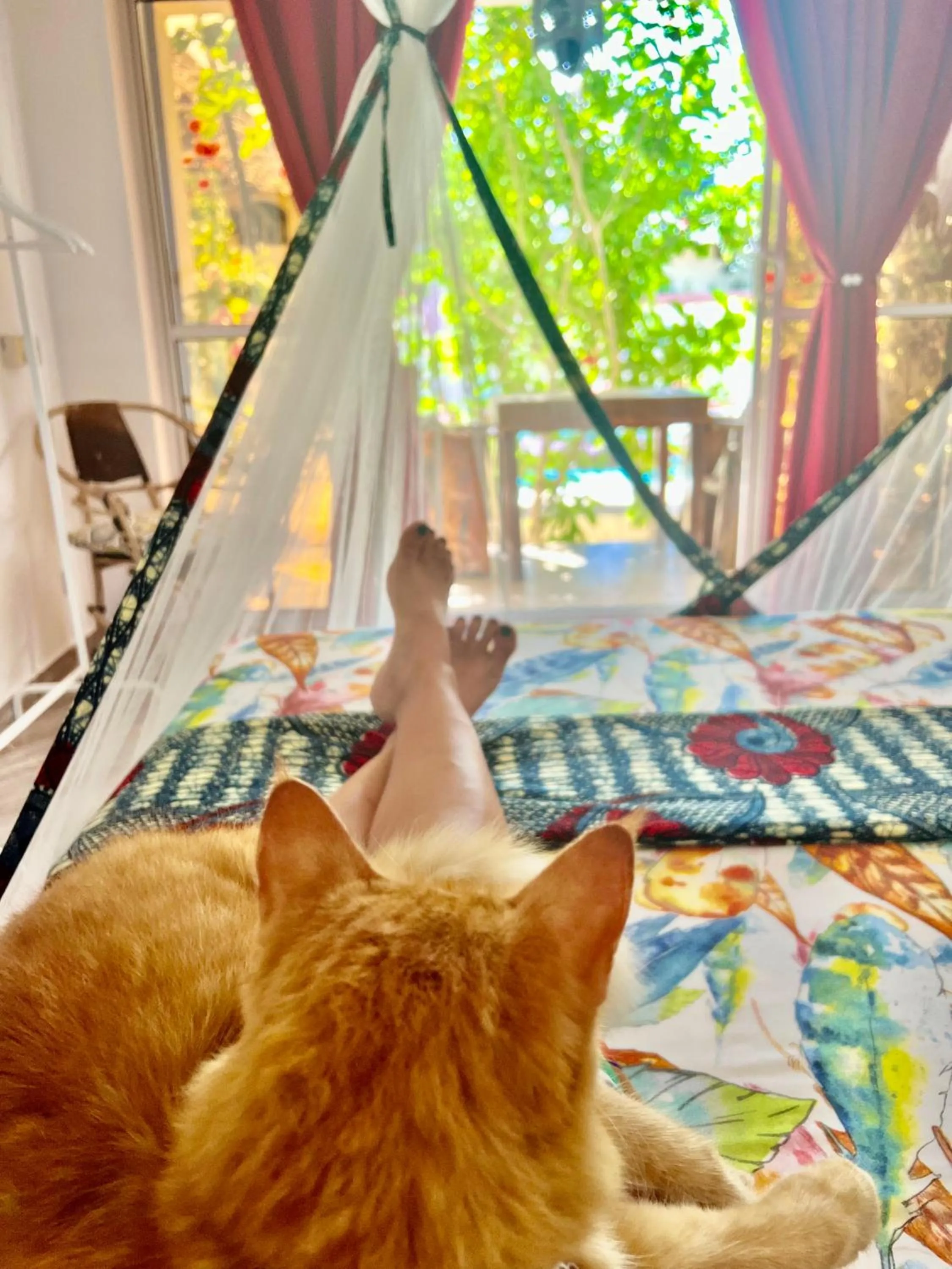 Bedroom in Gadea Boutique Hotel& Gadea Garden Italian Restaurant