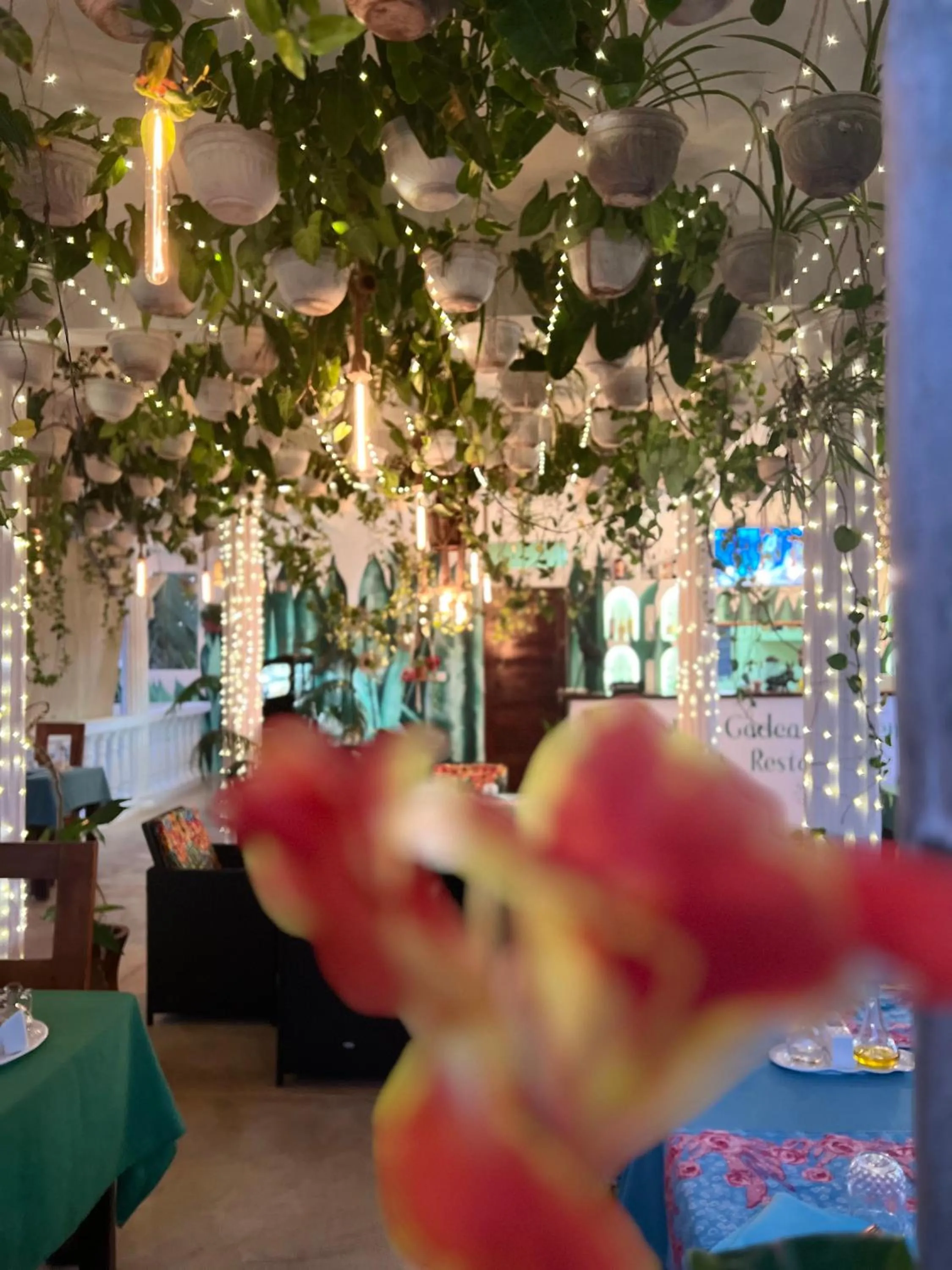 Restaurant/places to eat in Gadea Boutique Hotel& Gadea Garden Italian Restaurant