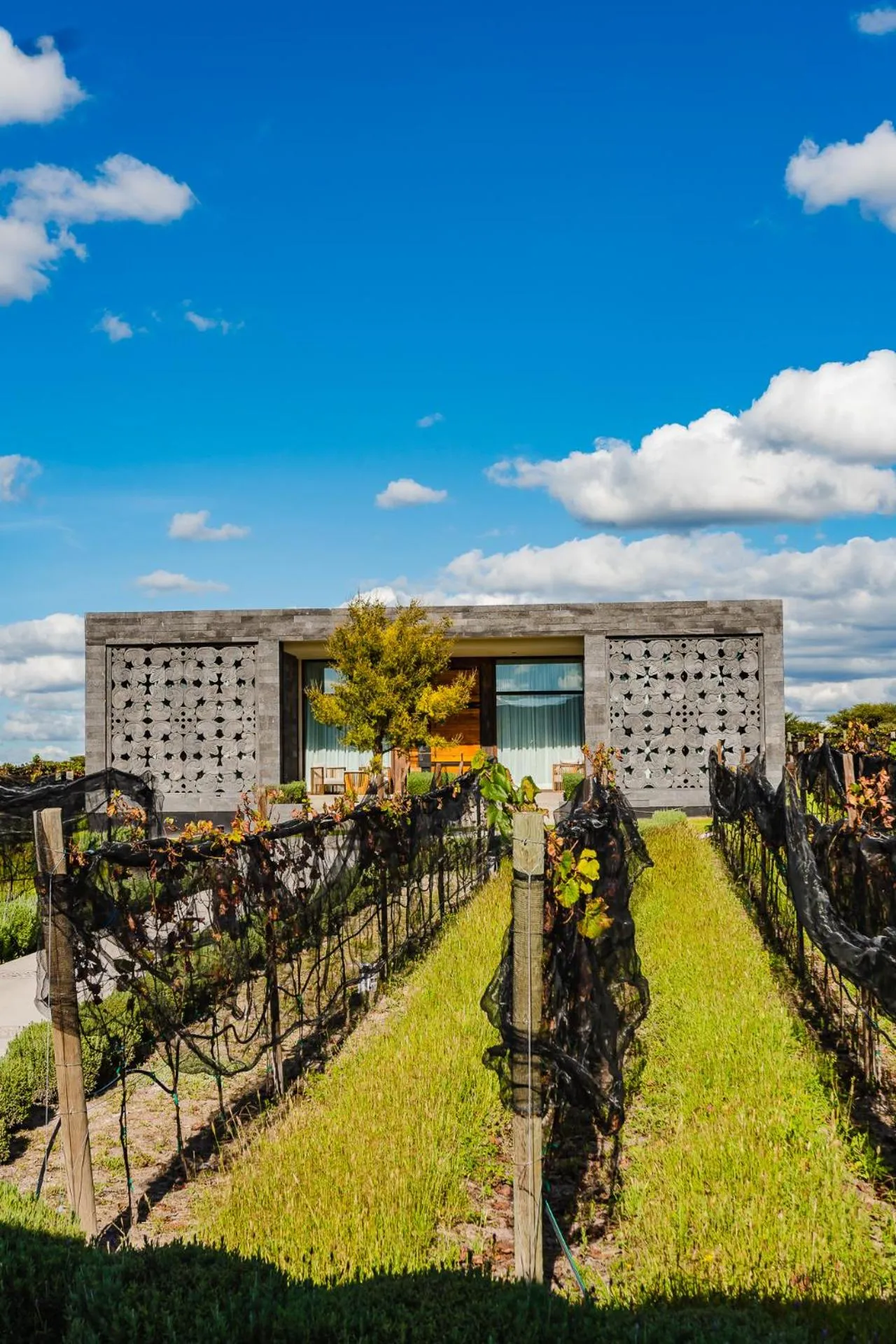 Property building in Casa Raíces Hotel Luxury & Viñedo