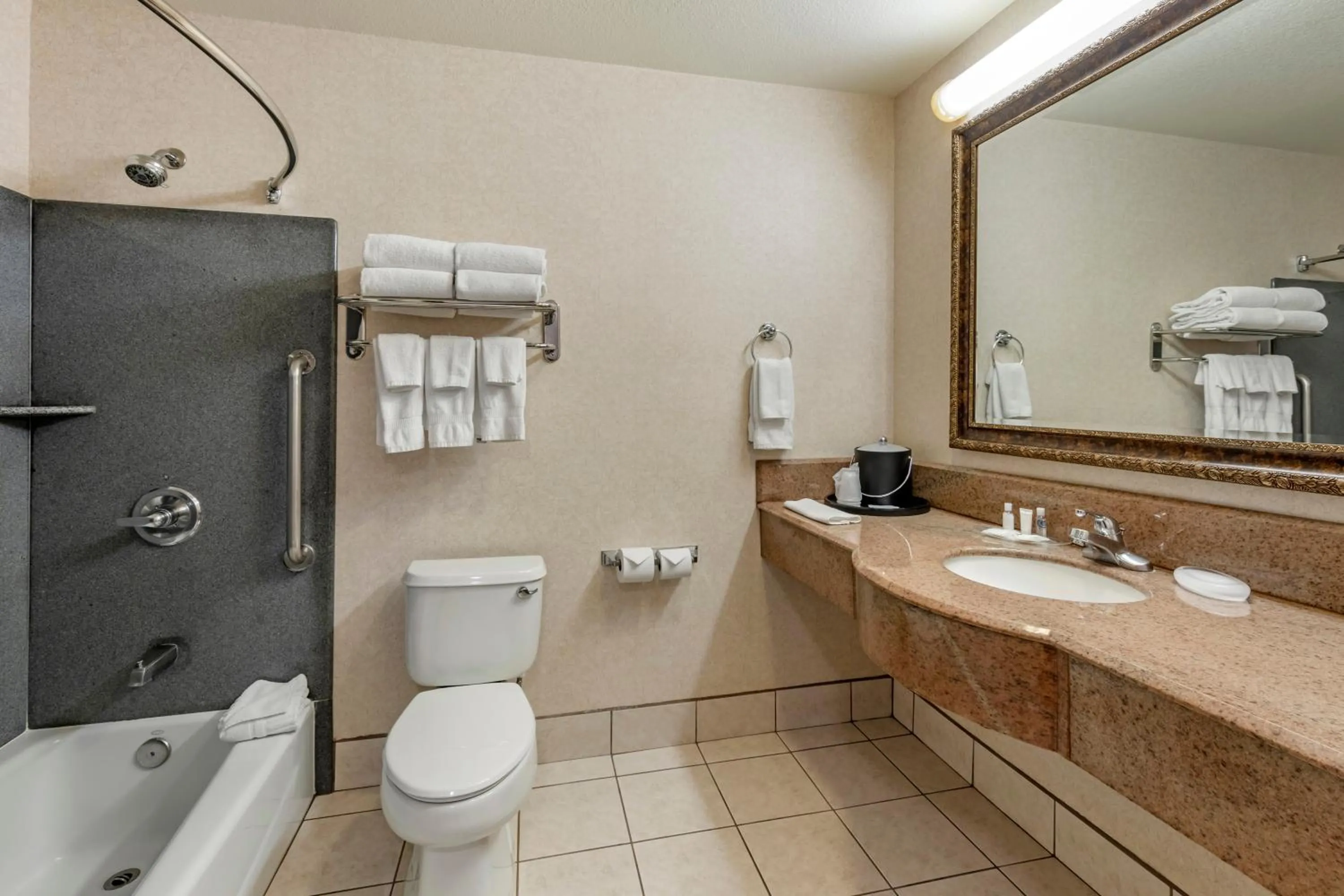 Toilet in Citrus Suites Redlands Loma Linda Hotel