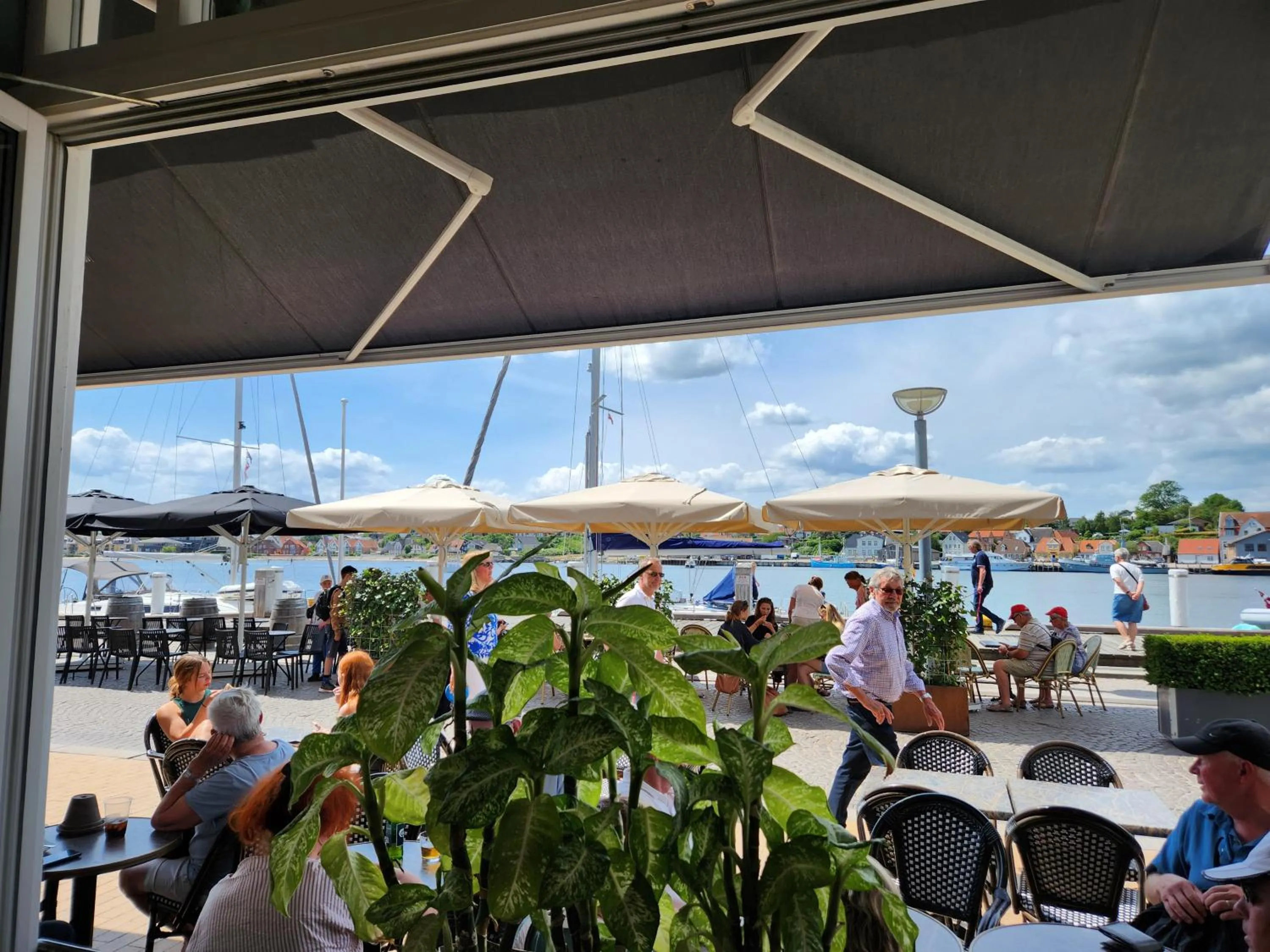 Restaurant/places to eat in Harbour View