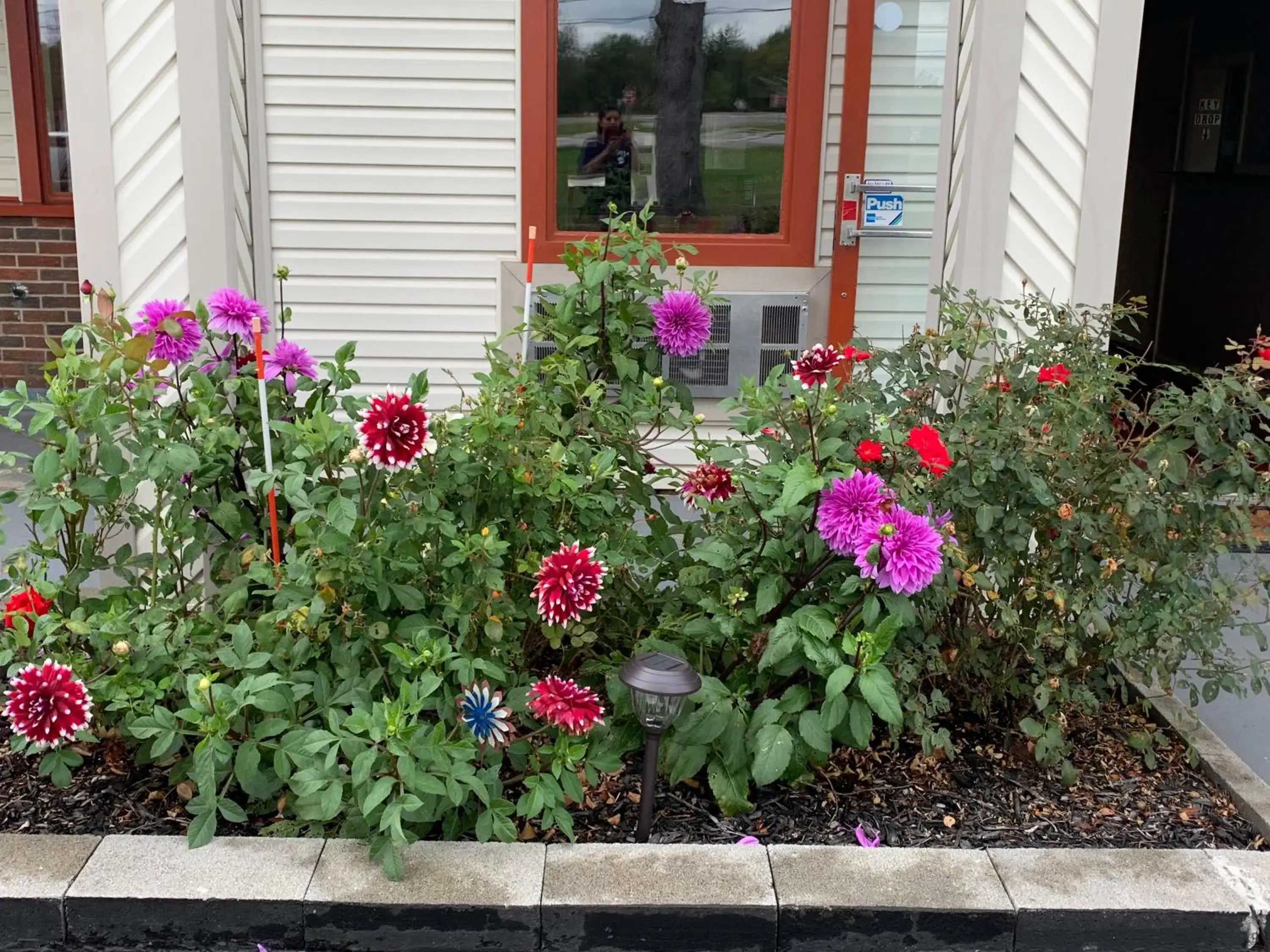 Queen Room in FALLS INN Queen Room in FALLS INN
