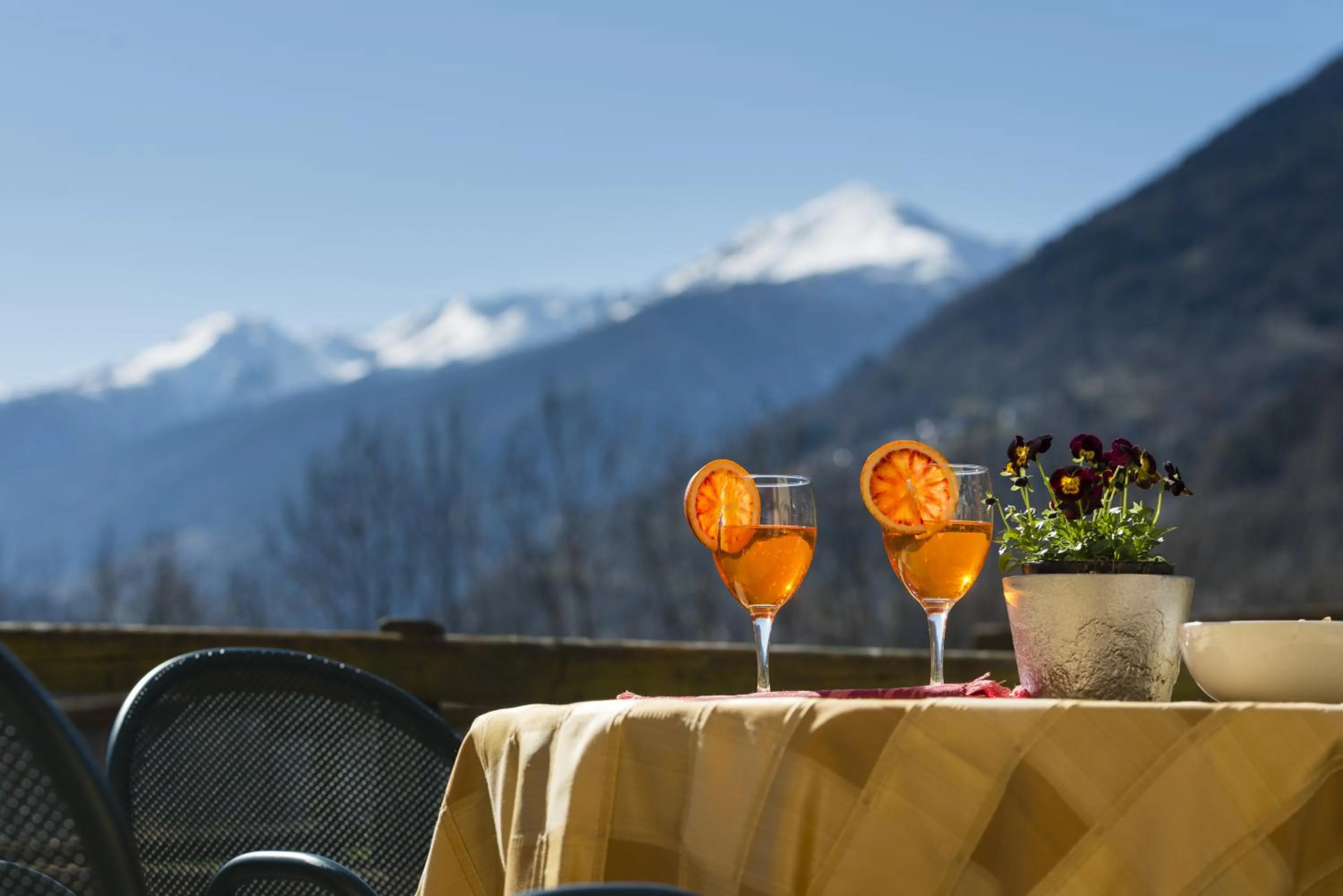 Garden in Animae Natura Hotel