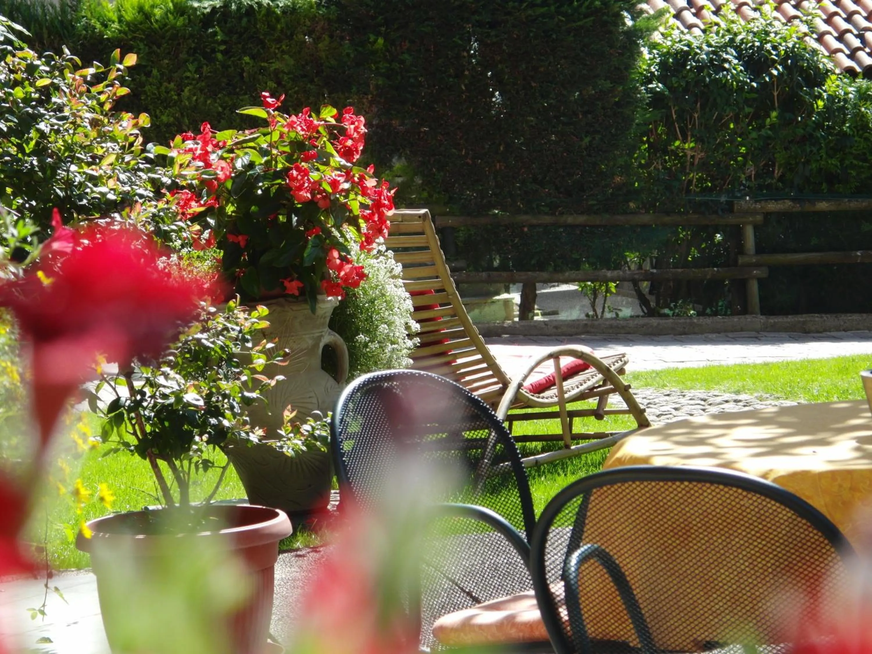 Garden in Animae Natura Hotel