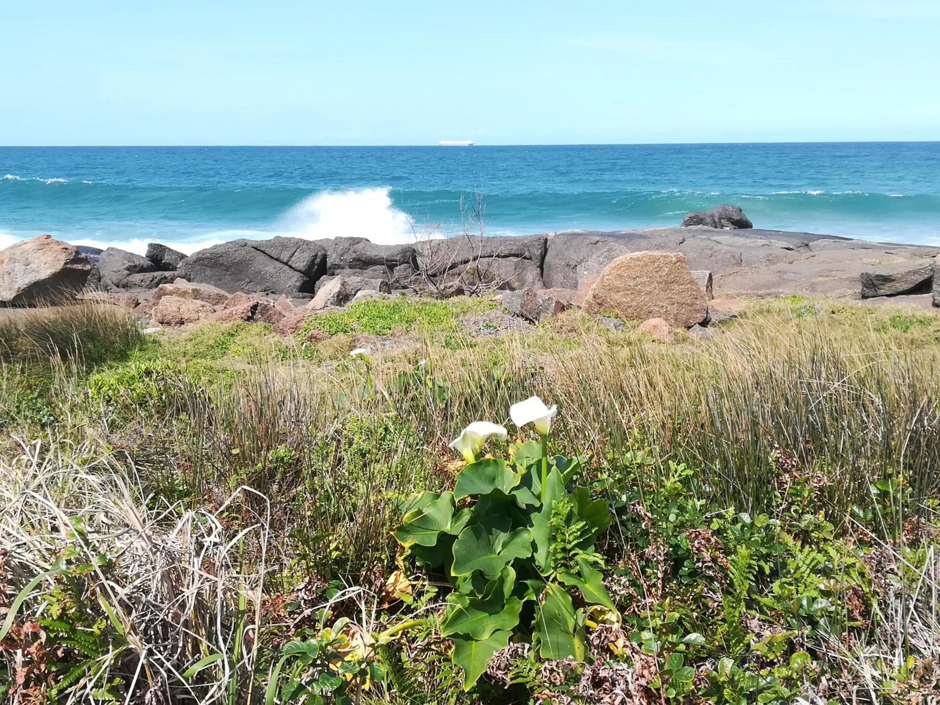 Natural landscape in Rockview Guest House