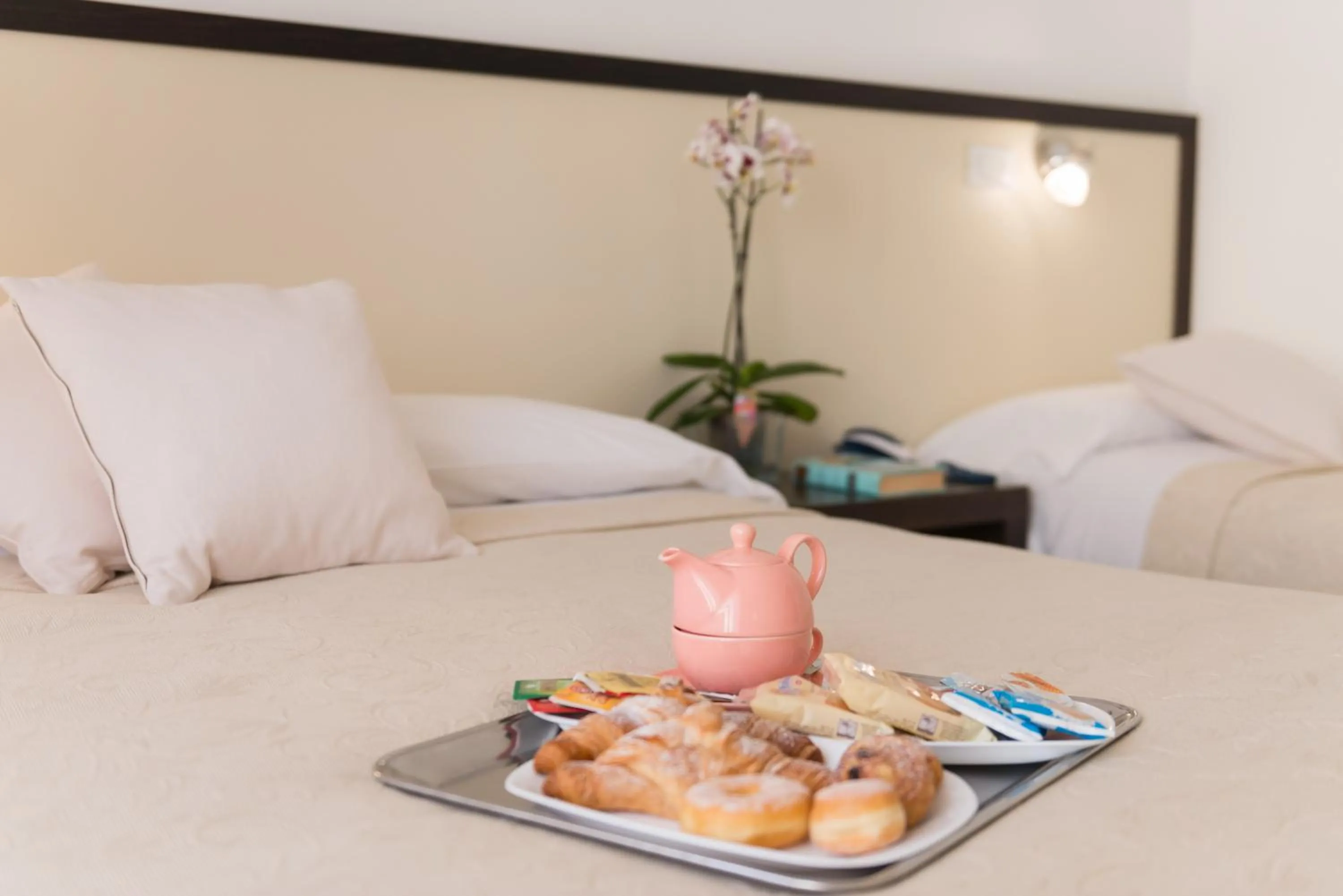 Breakfast in Hotel Viola