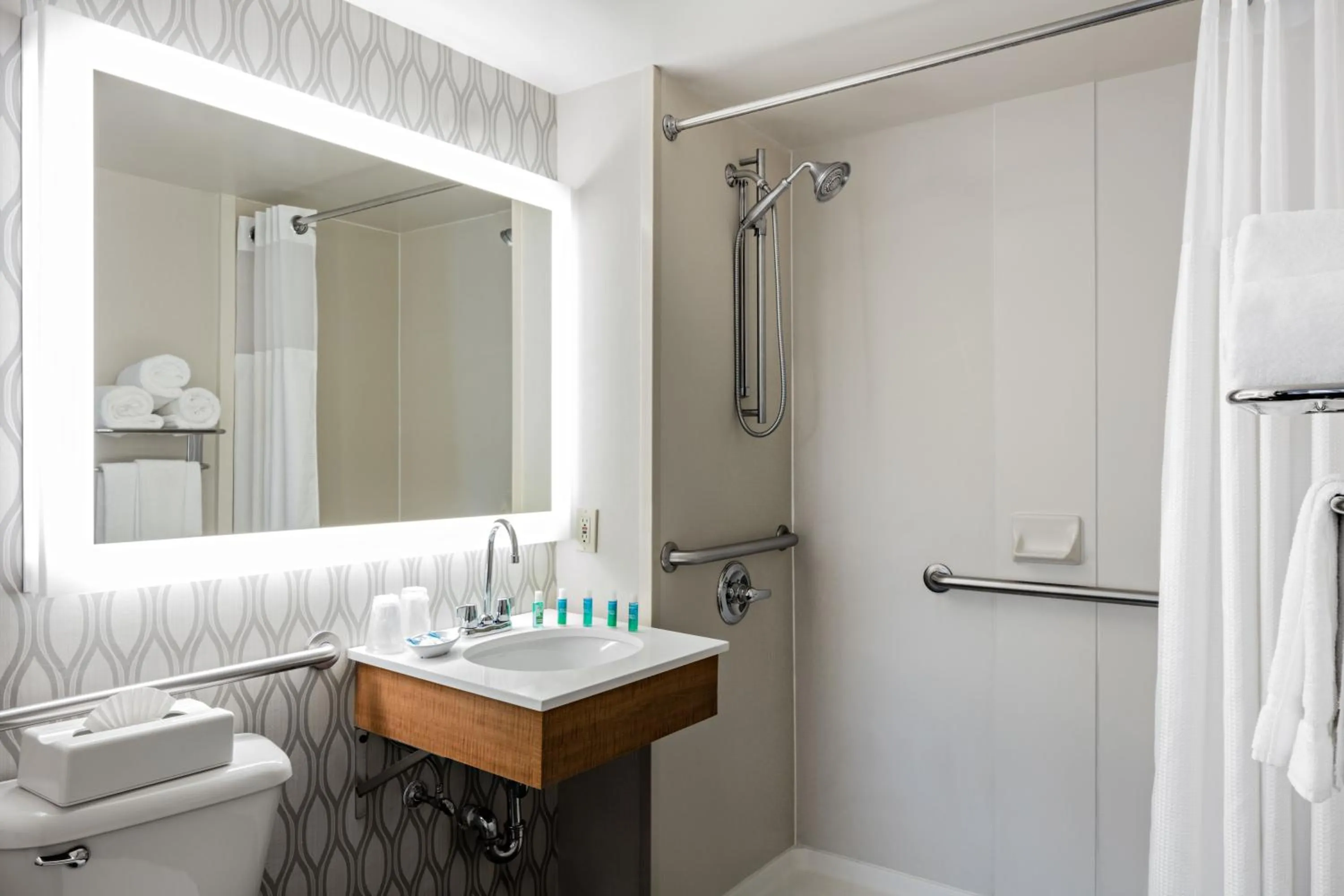 Bathroom in Holiday Inn Express Brooklyn, an IHG Hotel