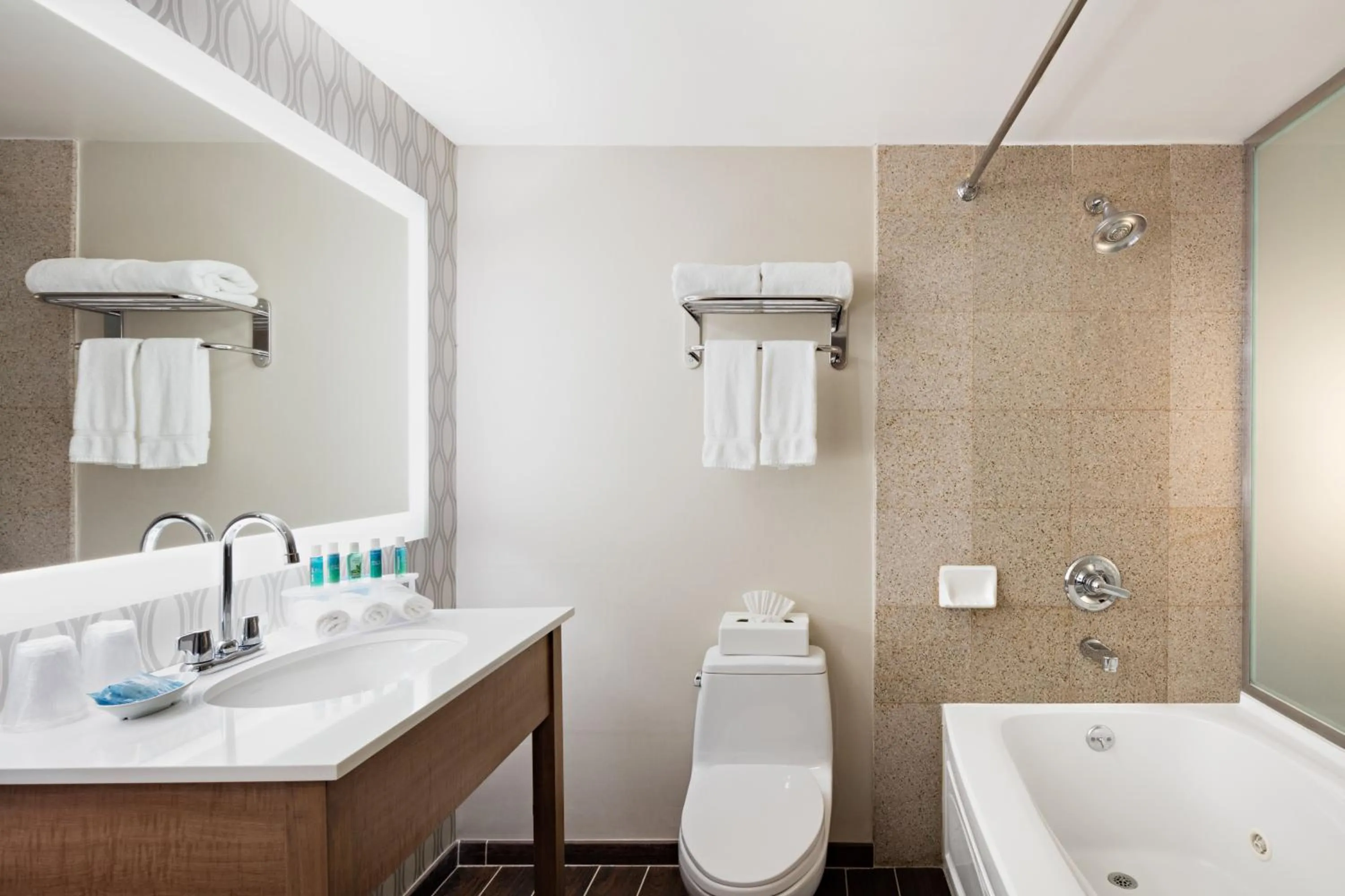 Bathroom in Holiday Inn Express Brooklyn, an IHG Hotel