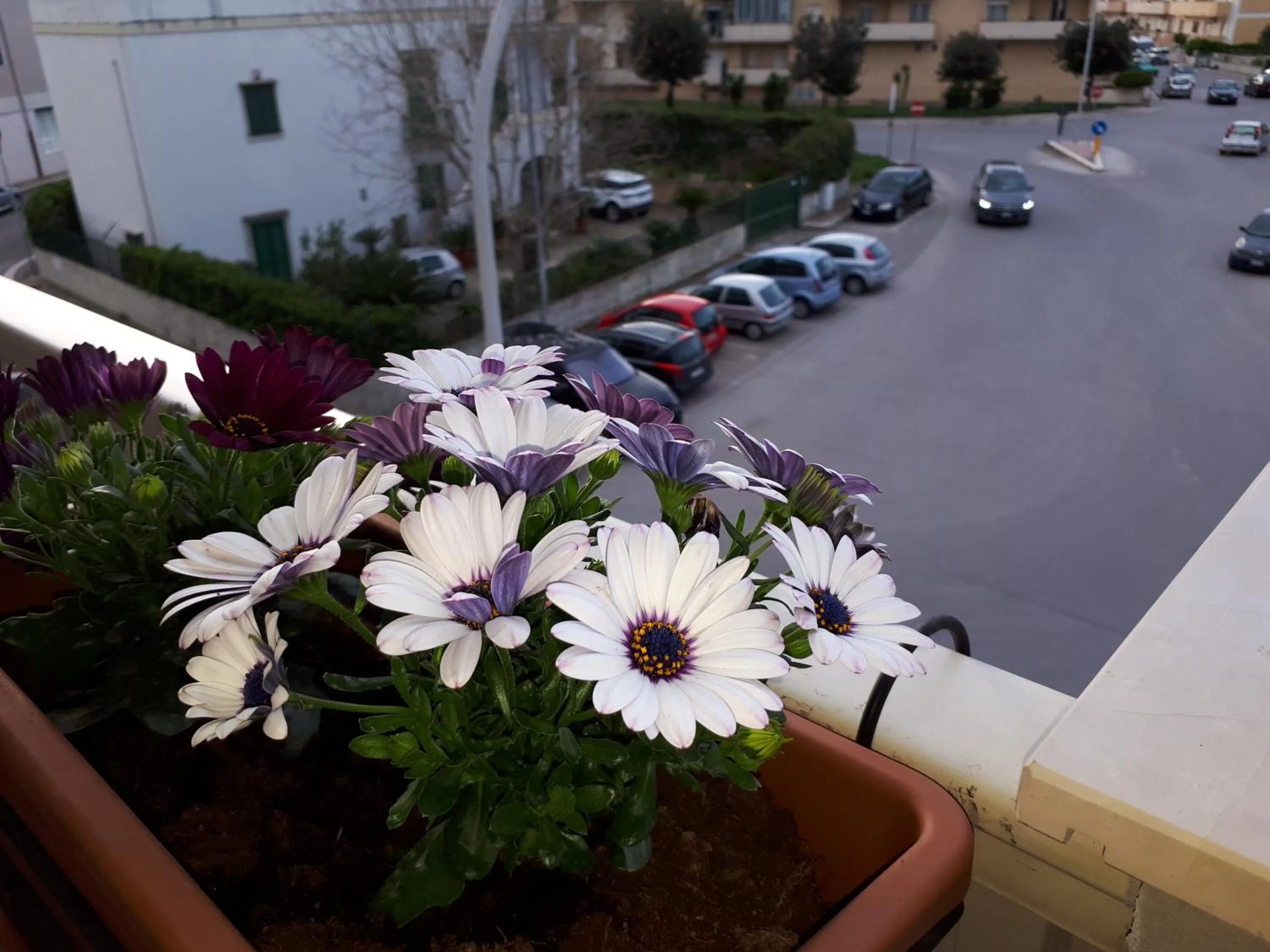 Balcony/Terrace in Rizzi Marianna B&B