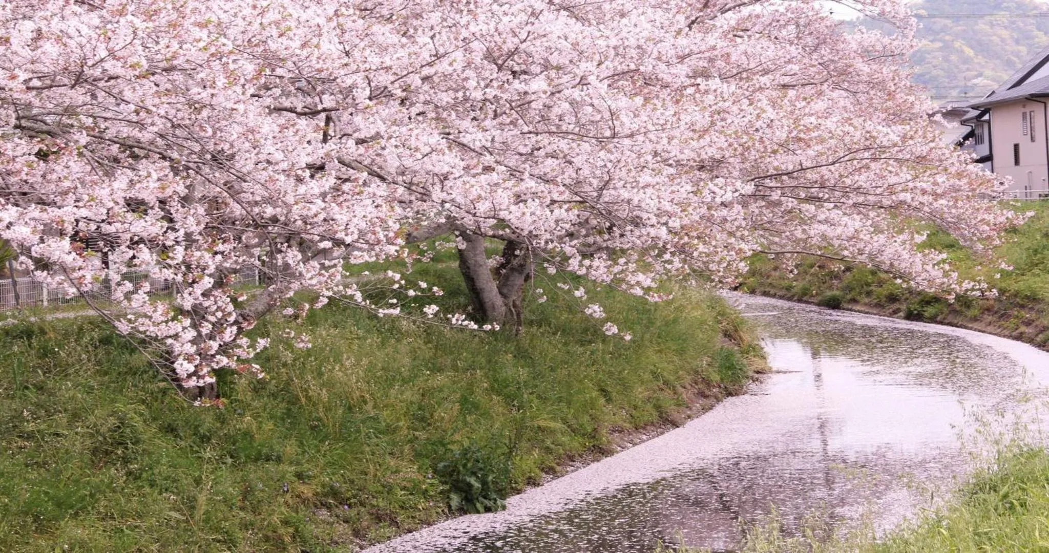 Nearby landmark in KAMENOI HOTEL Yaizu
