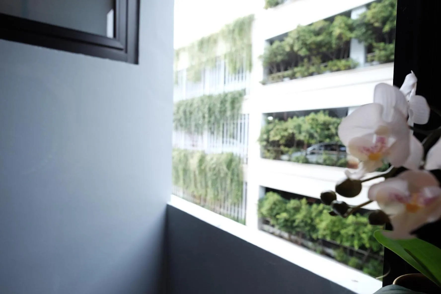 View (from property/room) in Maleesa Place Hua Hin