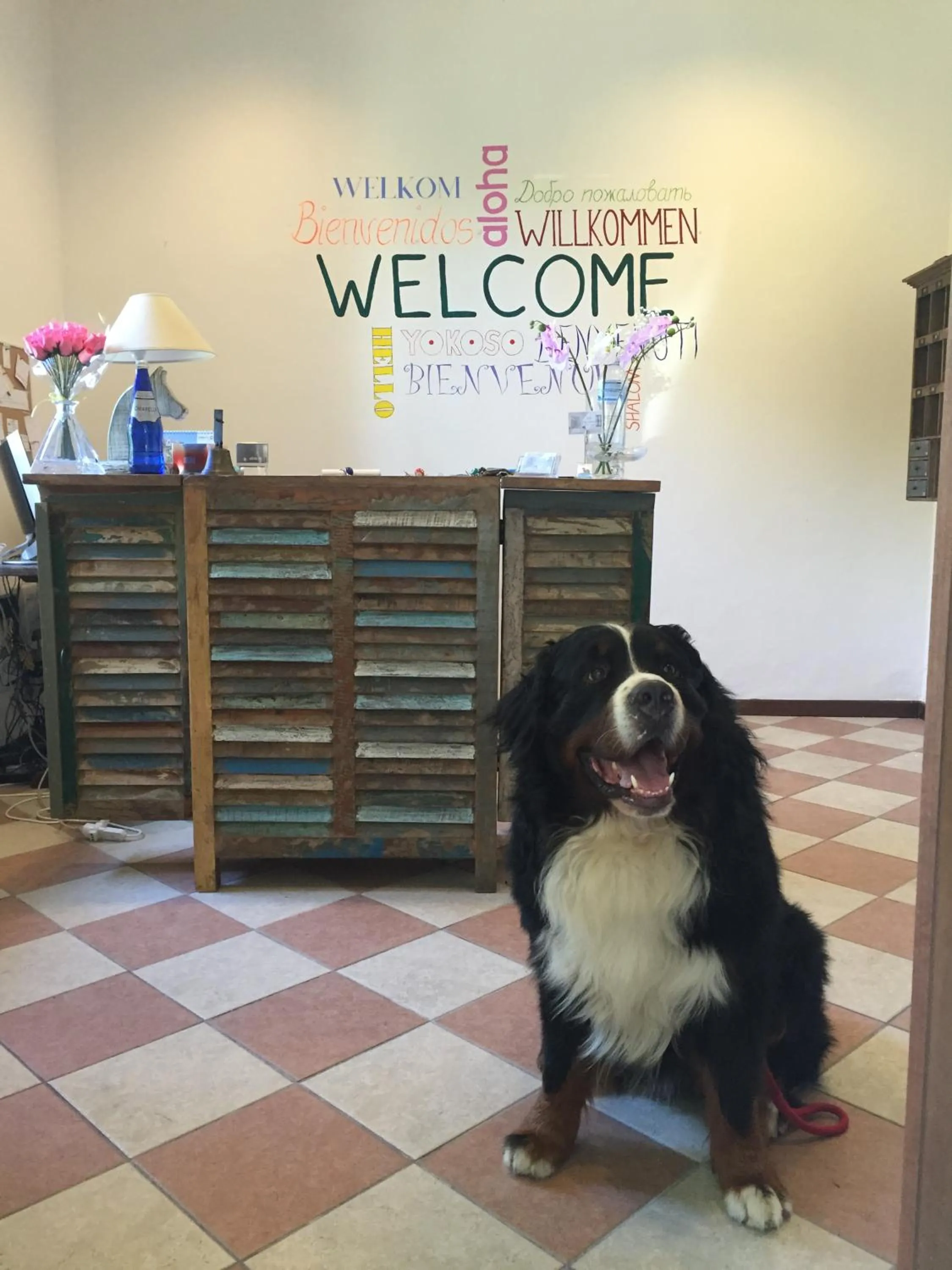 Lobby or reception in Hotel Villa San Fedele