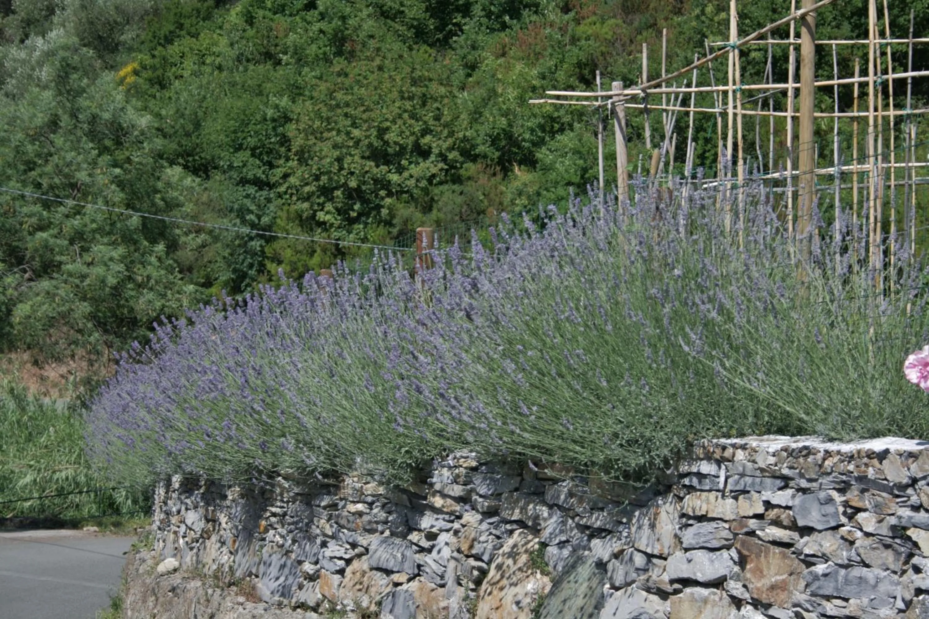 Street view in Cà de Pria