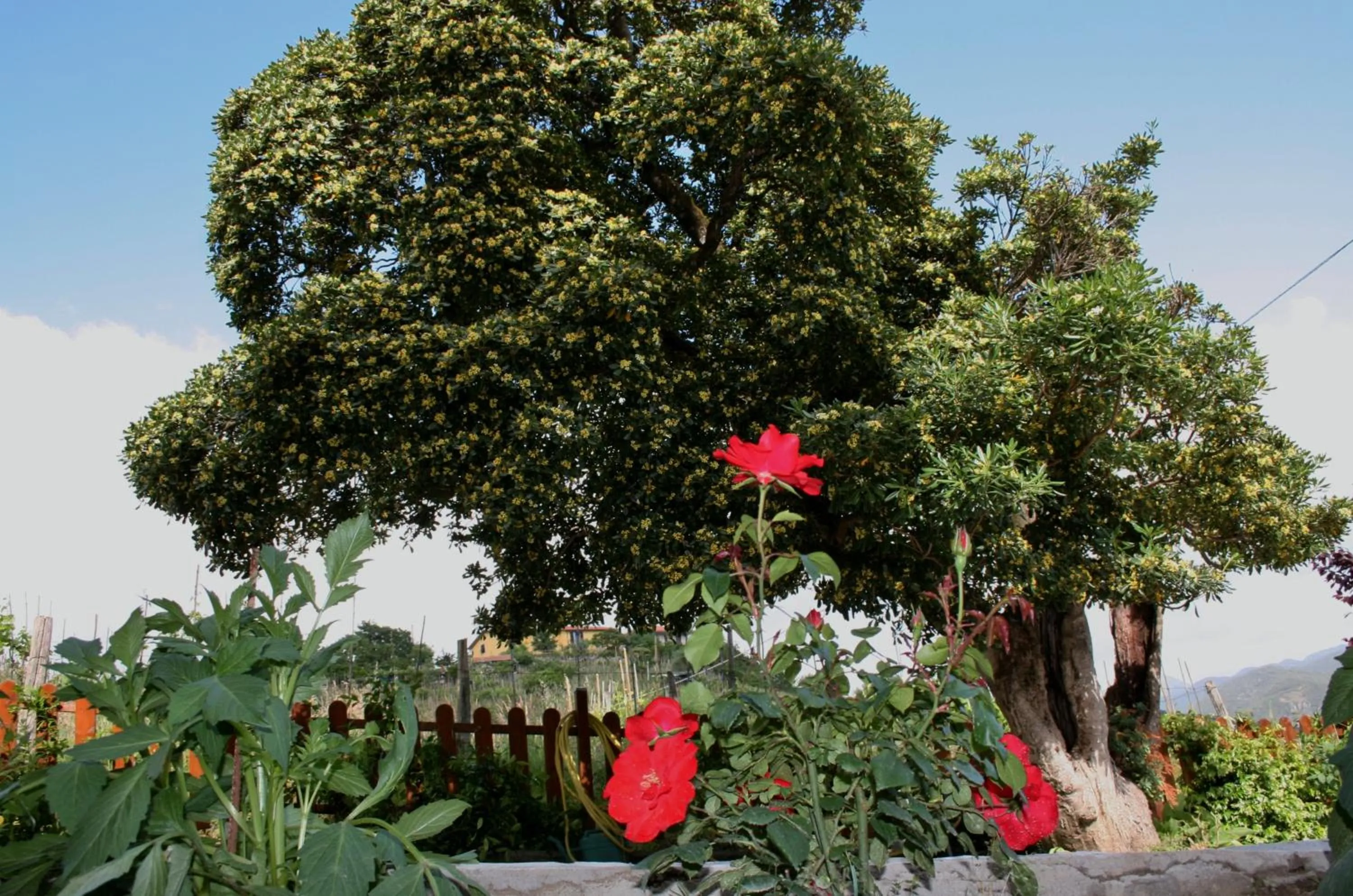 Decorative detail in Cà de Pria