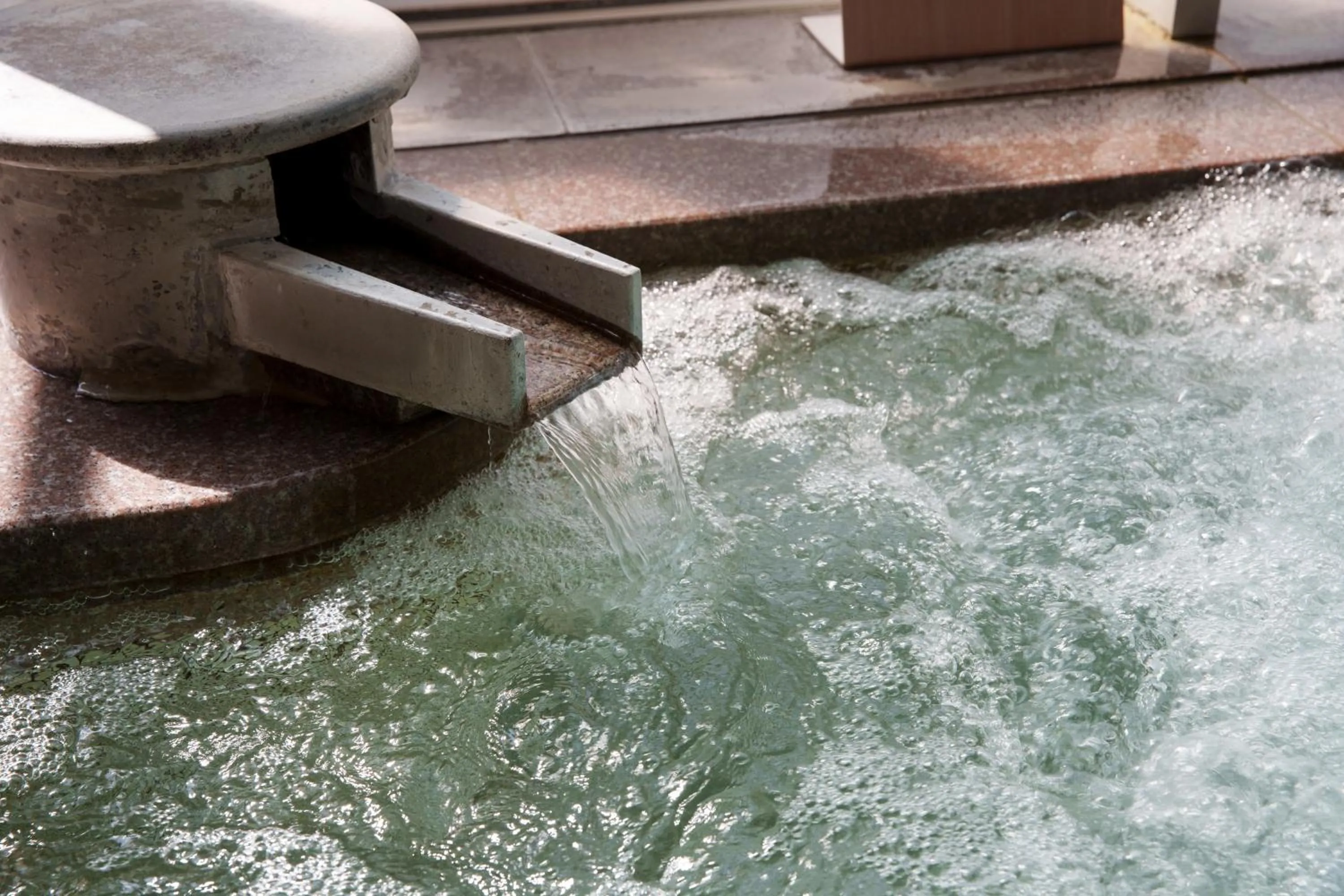 Hot Spring Bath in Hita Tenryosui no Yado