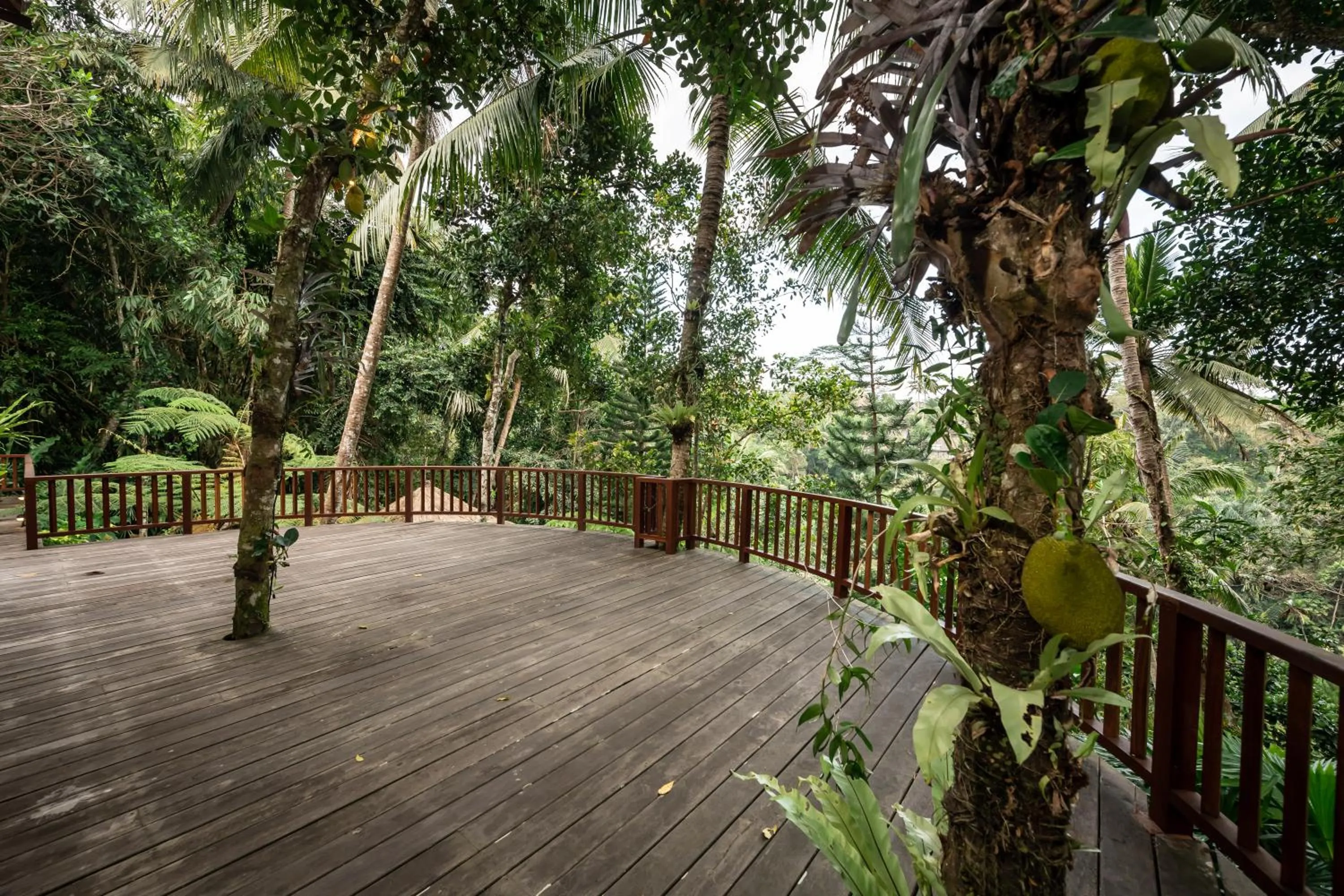 Balcony/Terrace in Villa Vajra