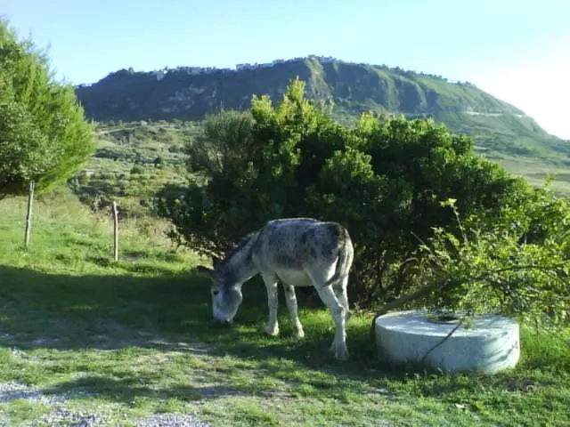 Pets in Giardino Donna Lavia