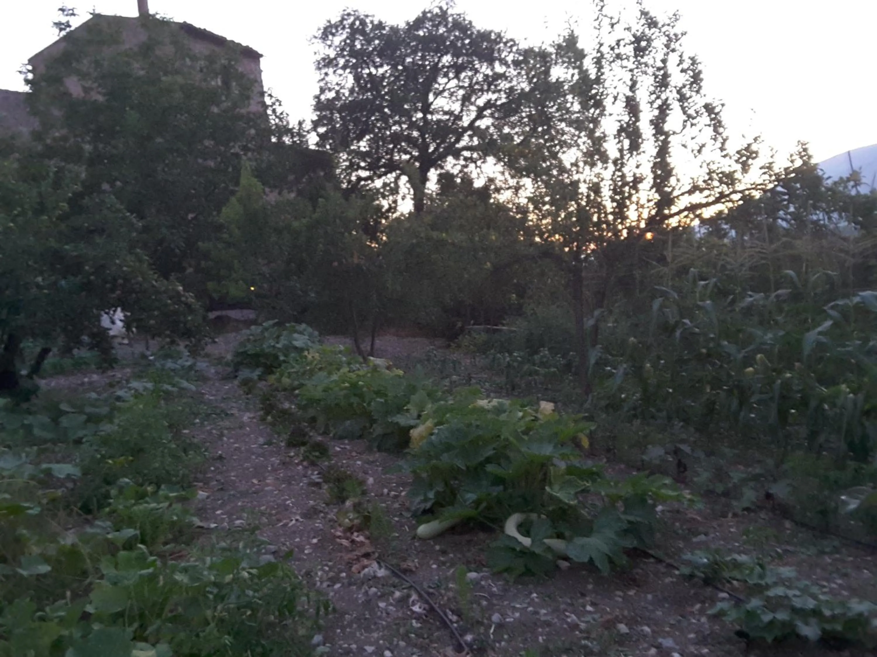 Garden in Giardino Donna Lavia