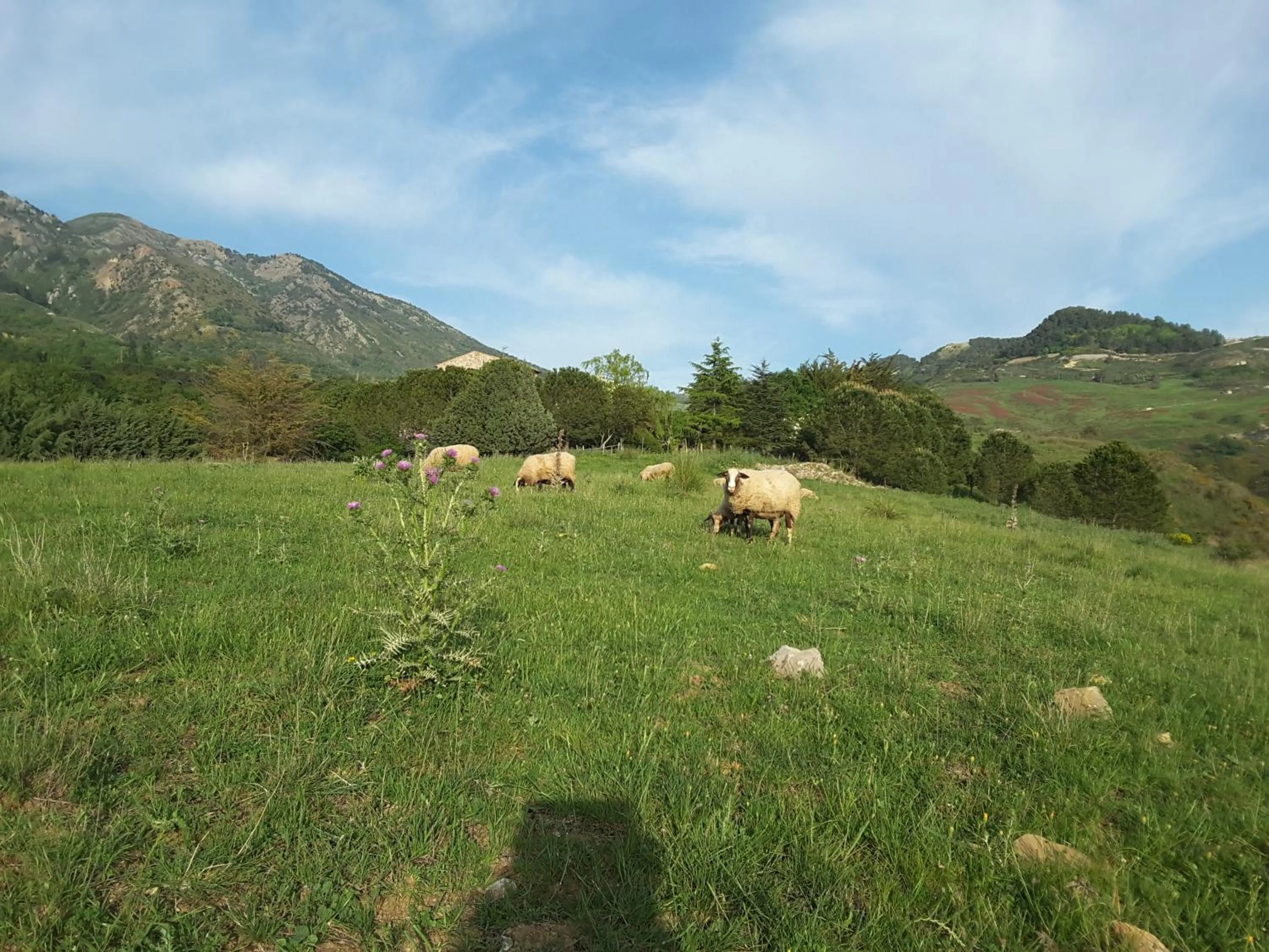 Natural landscape in Giardino Donna Lavia