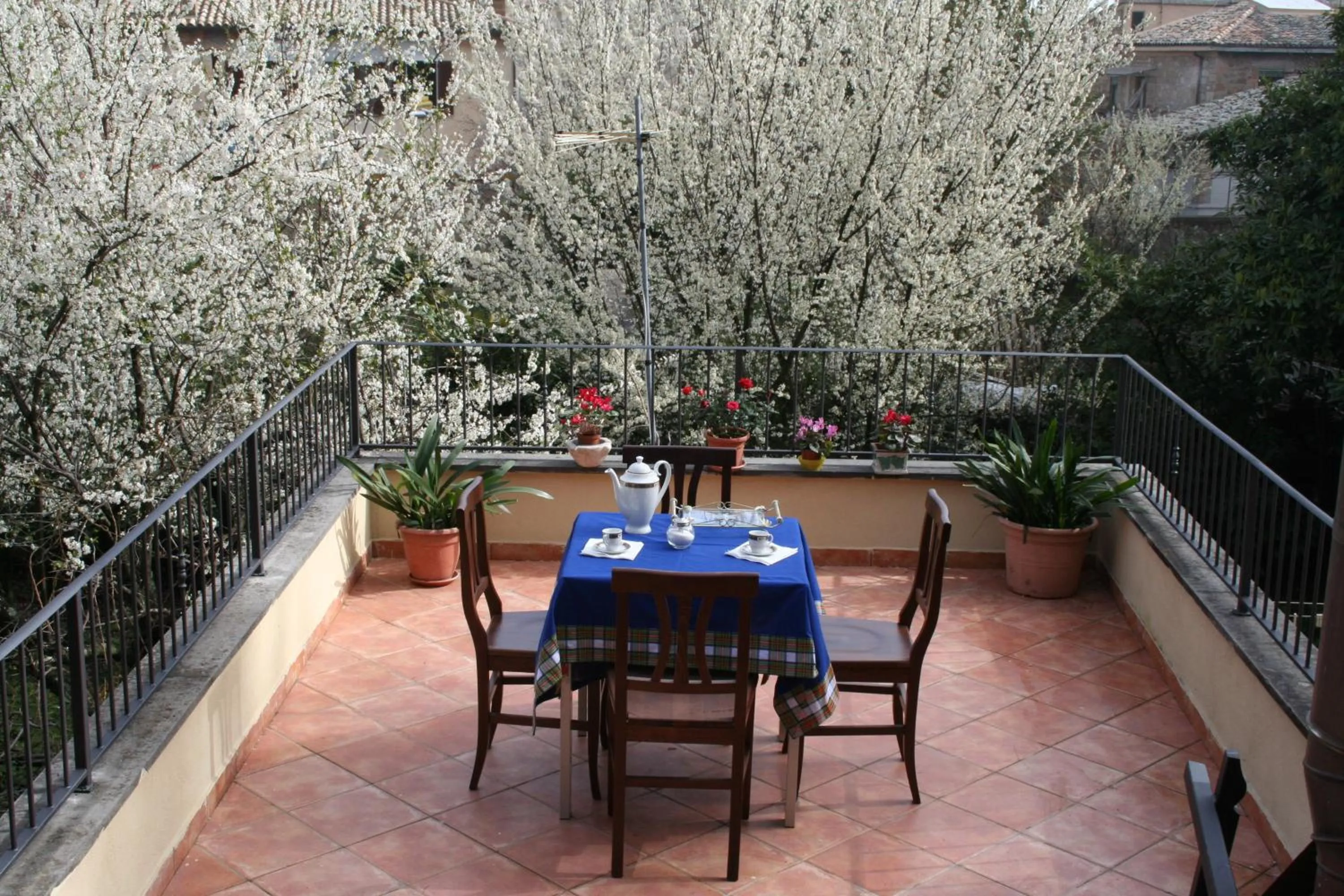 Casa Flavia