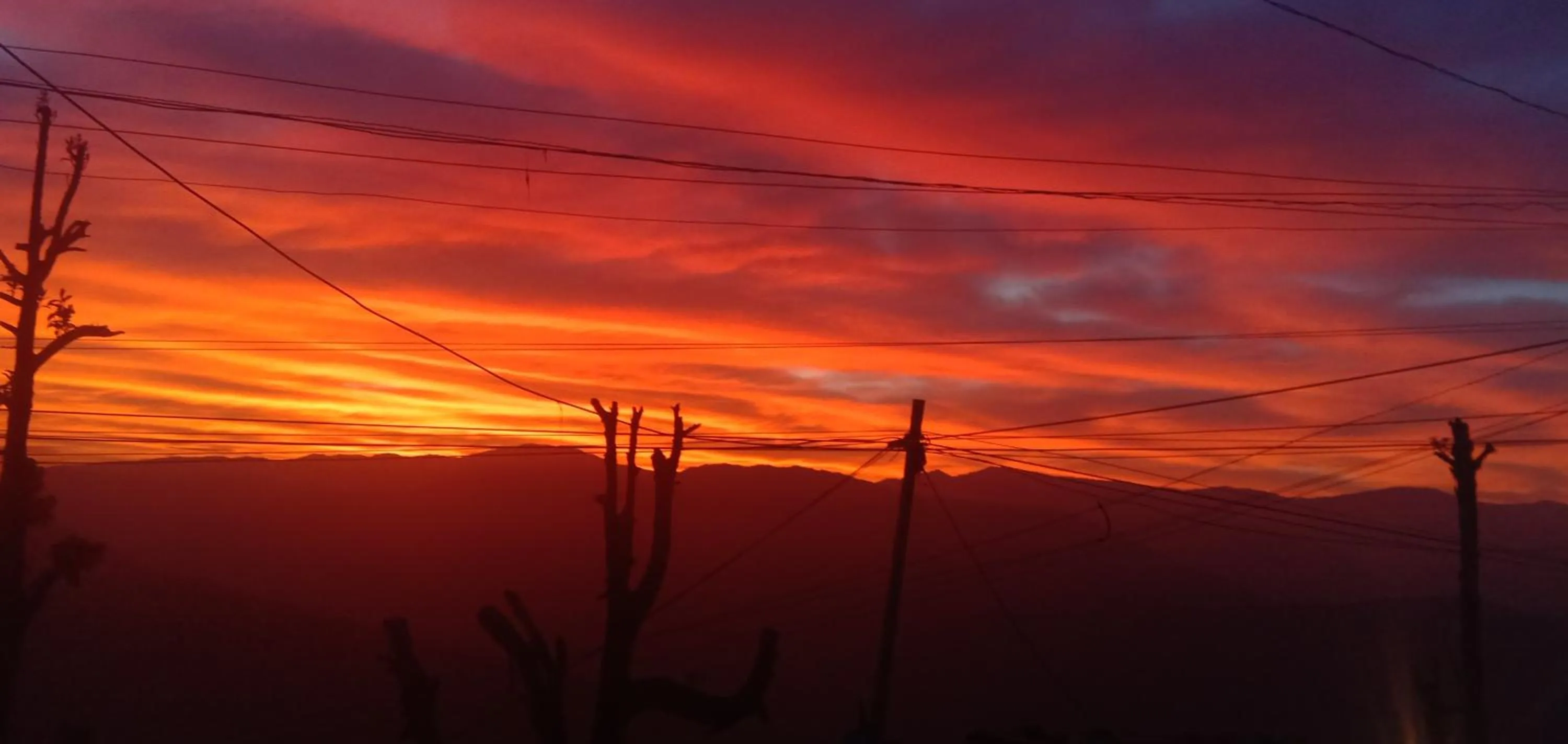 Natural landscape in Sandeep Homestay