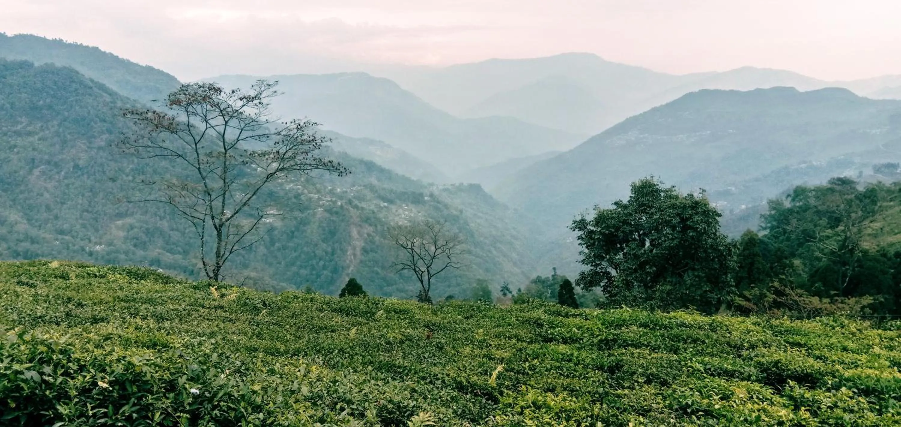 Mountain view in Sandeep Homestay