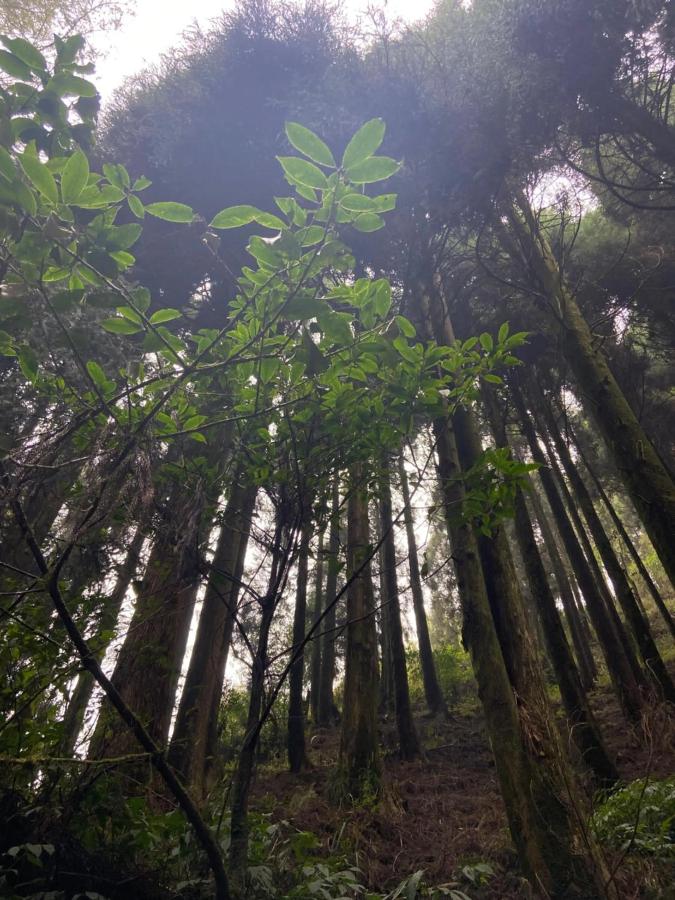 Natural landscape in Sandeep Homestay