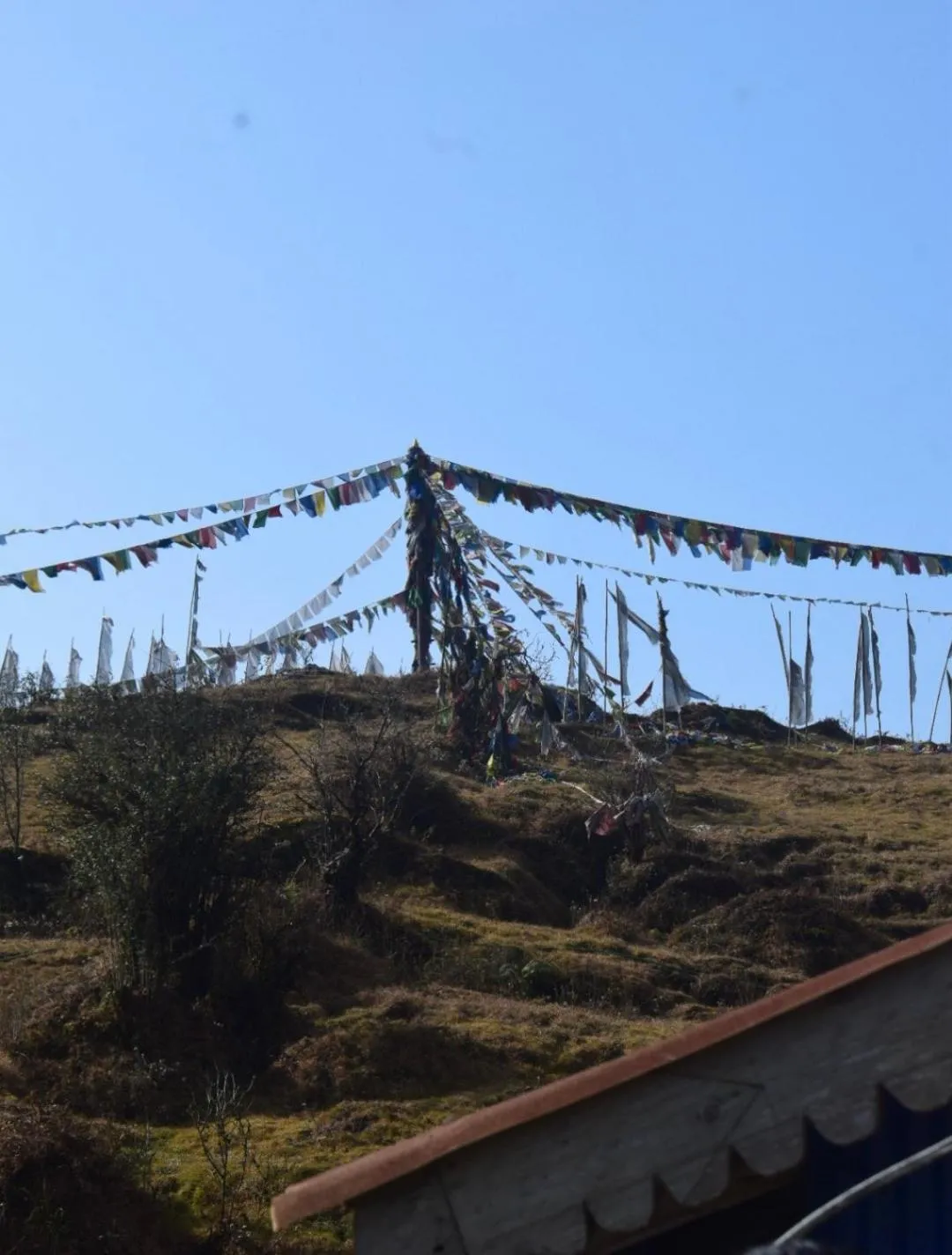Day in Sandeep Homestay