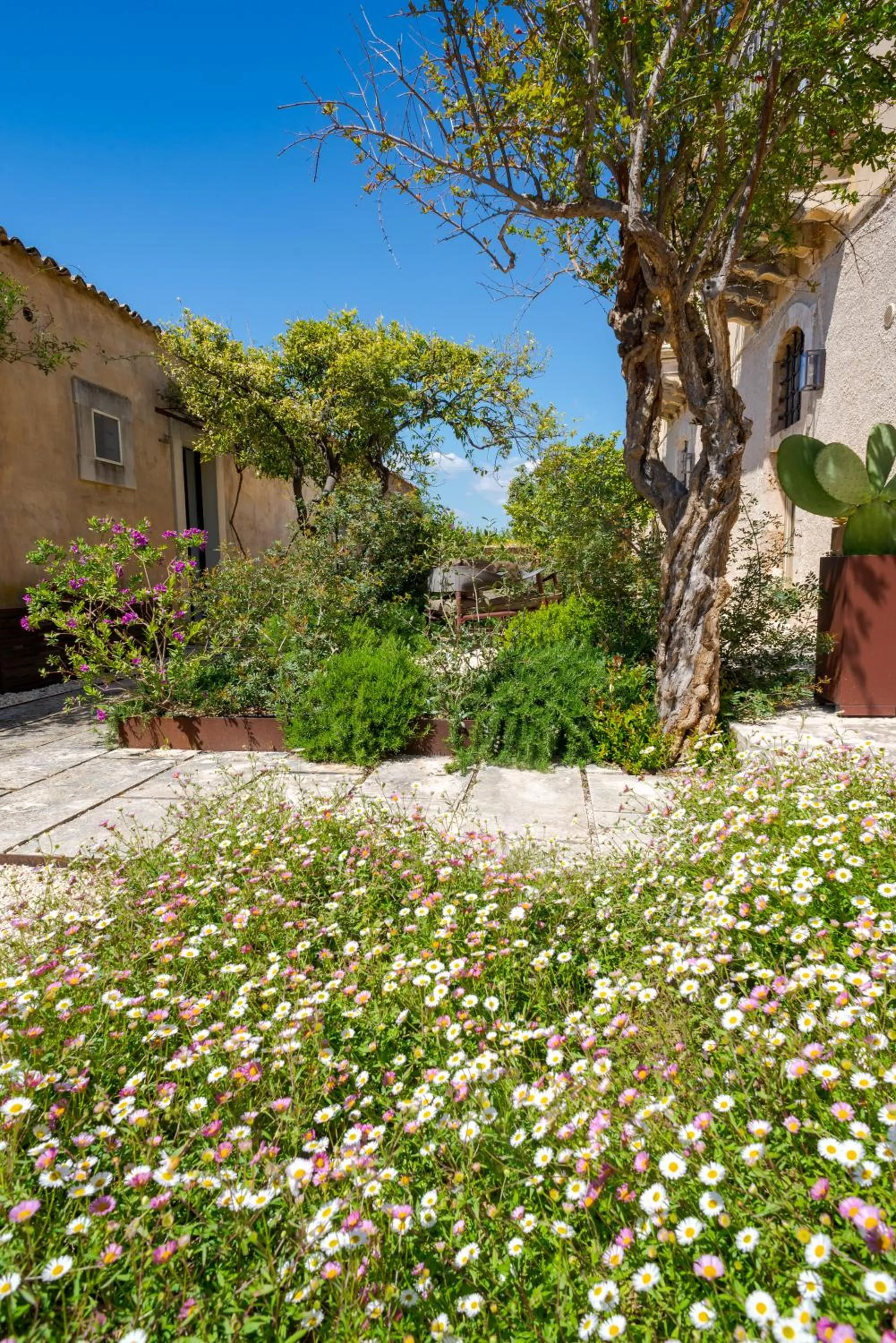 Garden in Baglio Siciliamo Country House