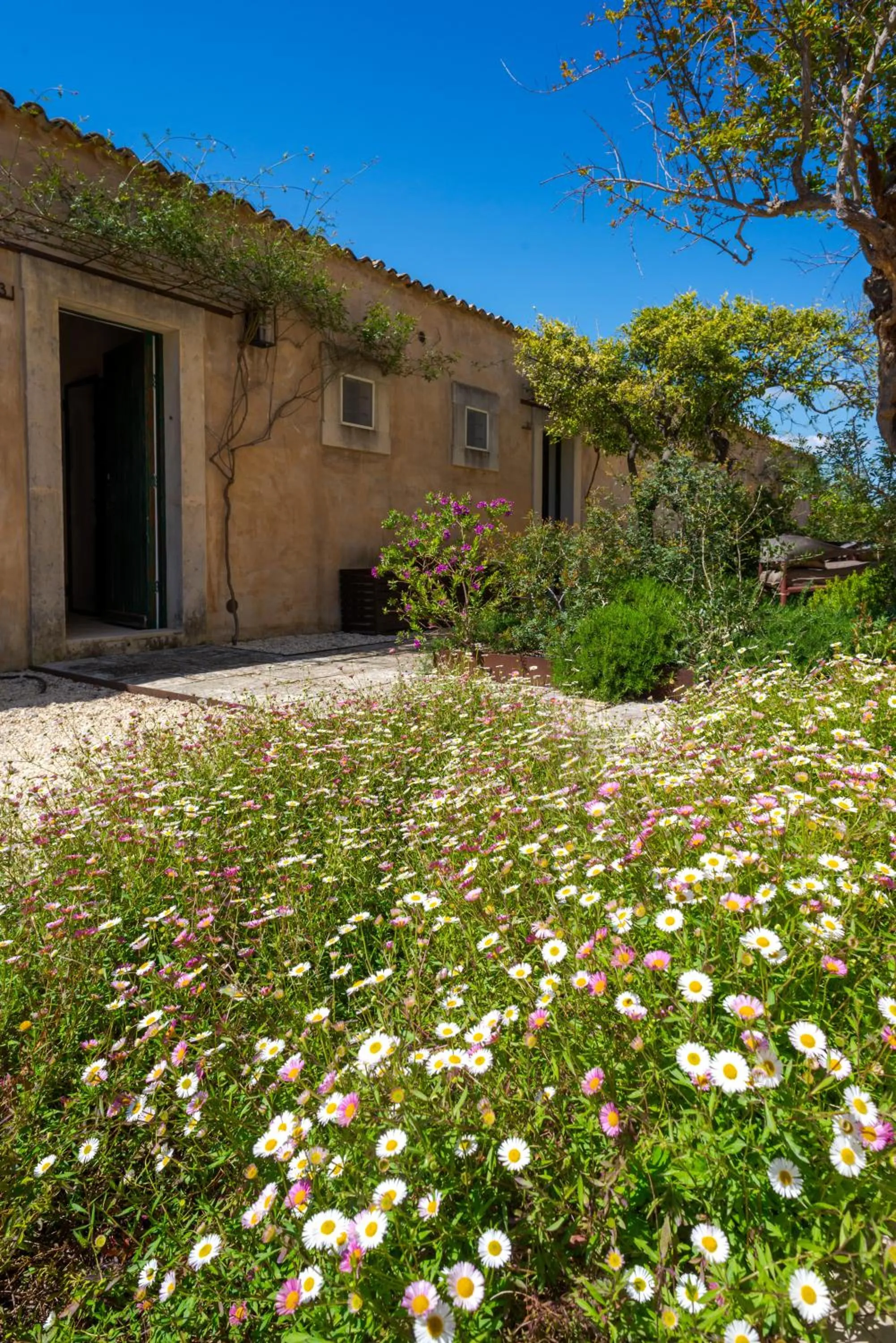 Garden in Baglio Siciliamo Country House